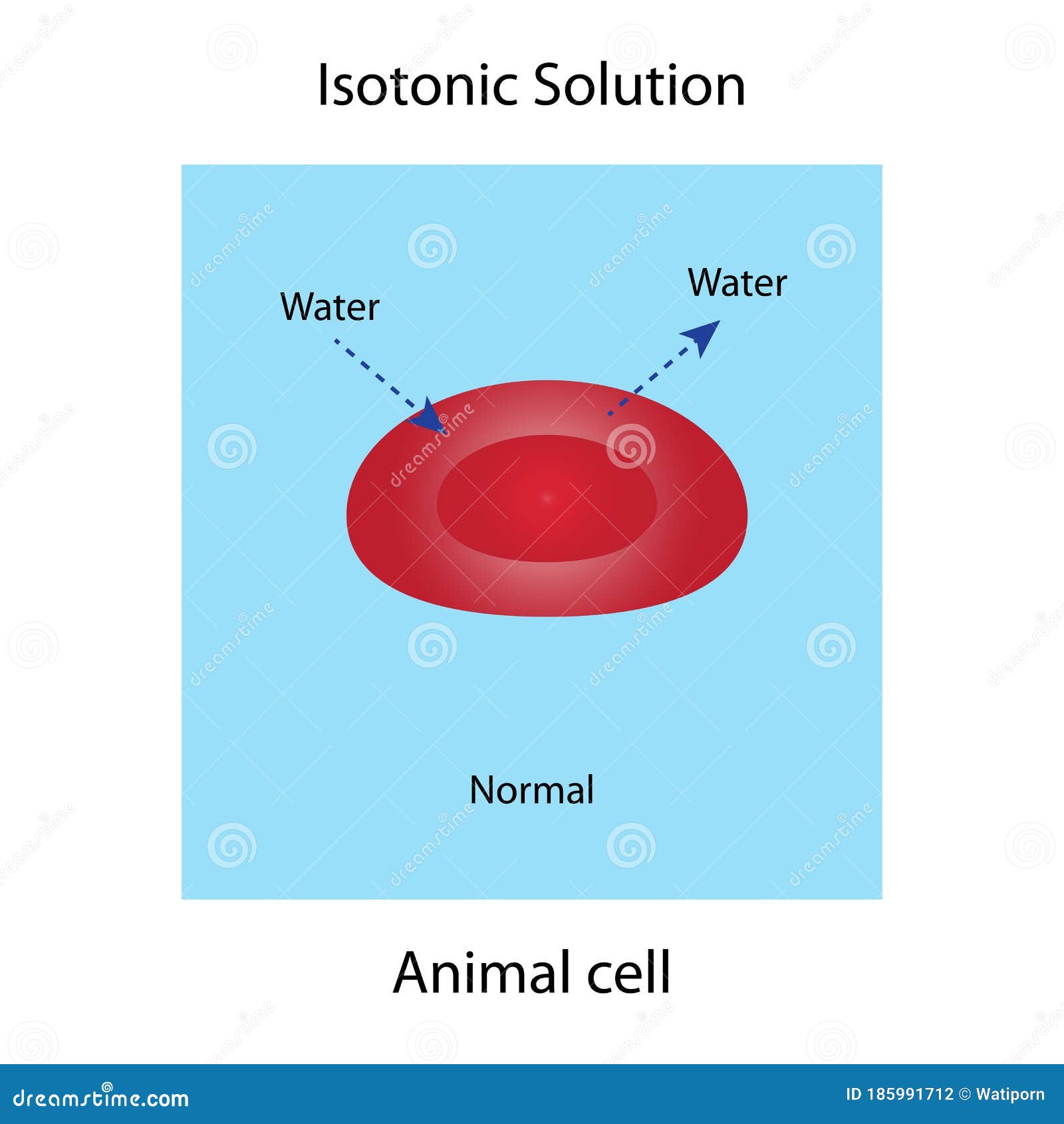 Isotonic solution stock illustration. Illustration of genes - 185991712