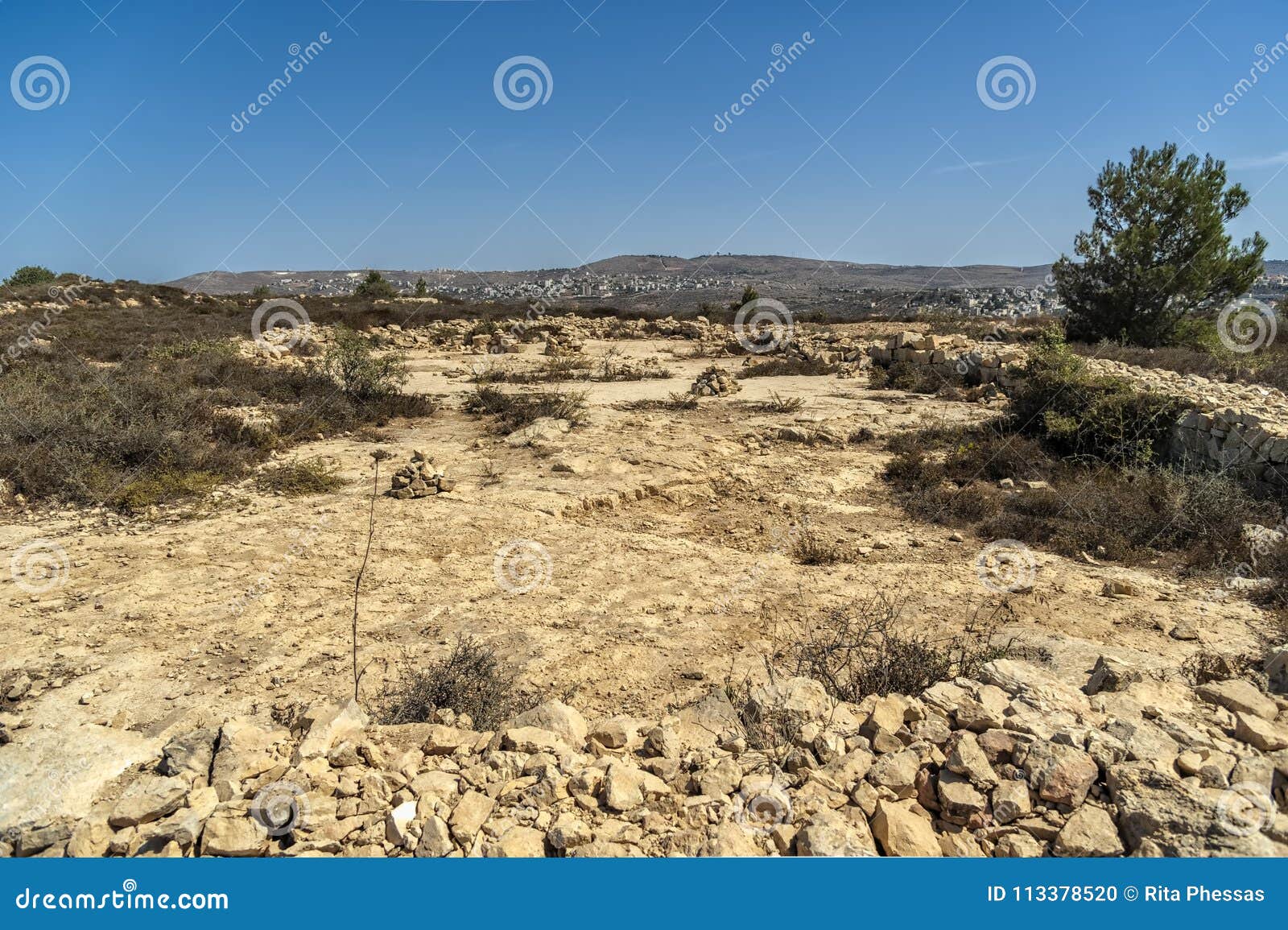 israel bethel. view of officially identified spot the rock of jacobs dream in bethel as described in genesis 28-12-19 in the old t