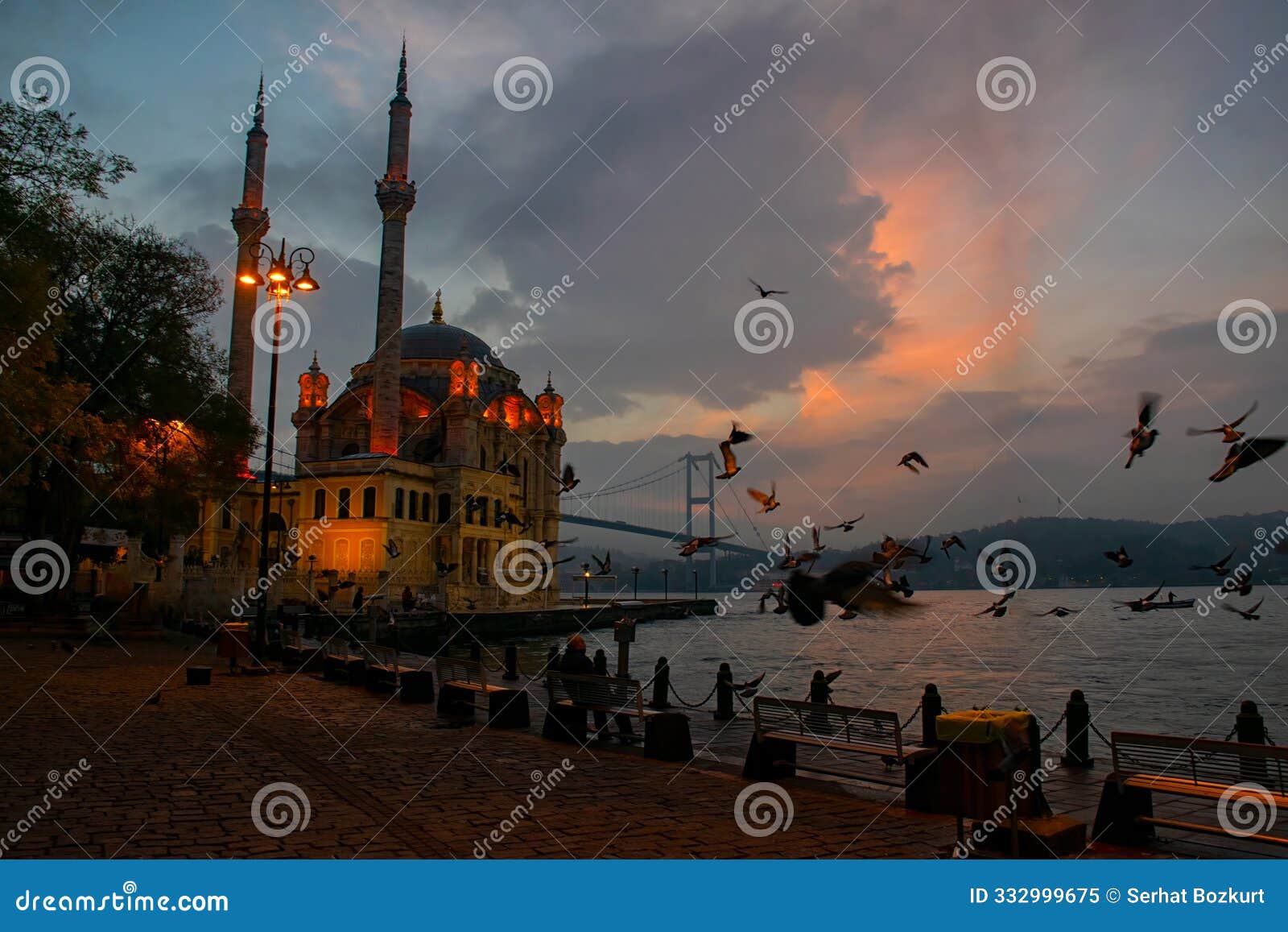 view of ortakÃ¶y mosque and bosphorus bridge (july 15 martyrs bridge) with seagull