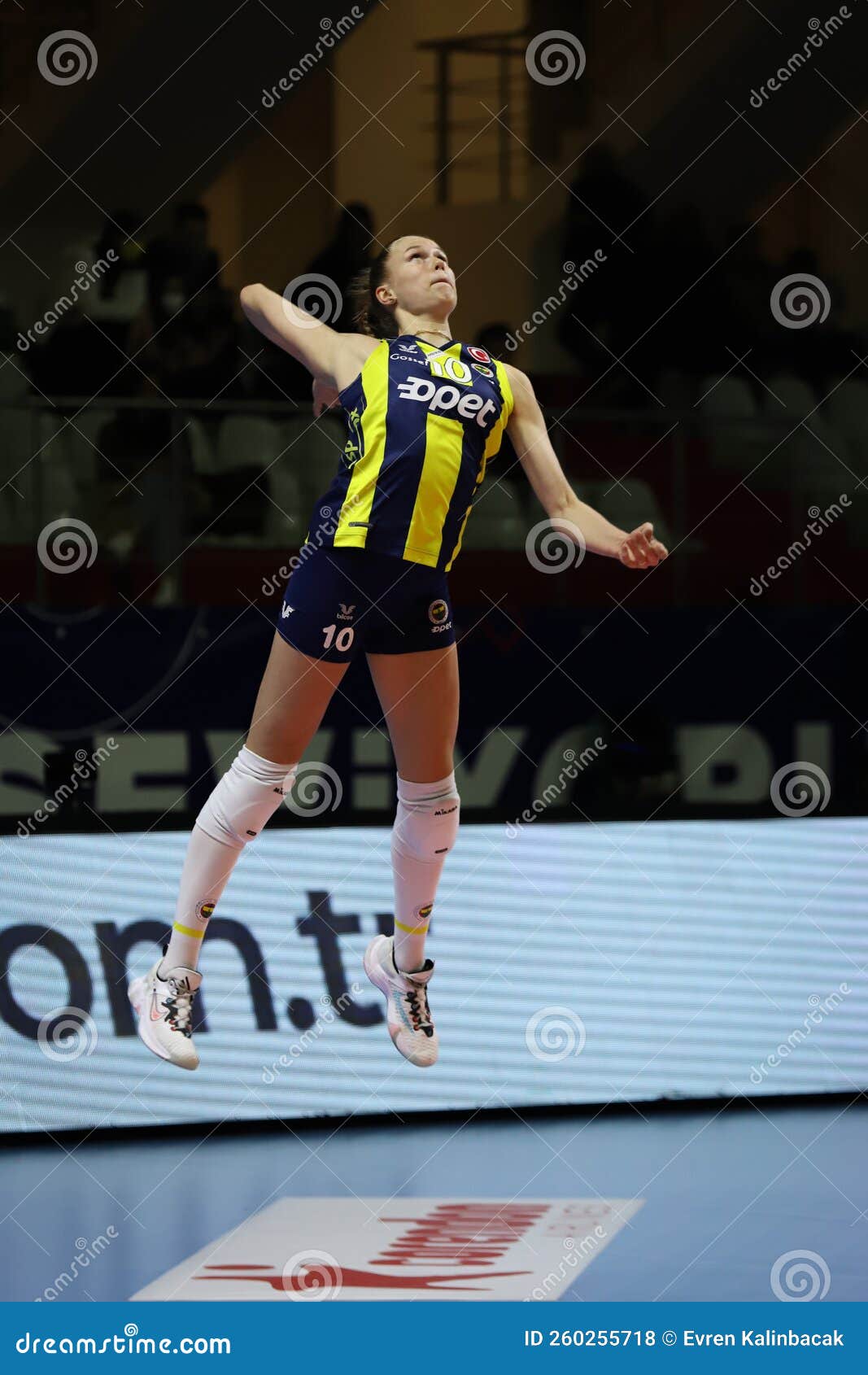 Cev championship hi-res stock photography and images - Alamy