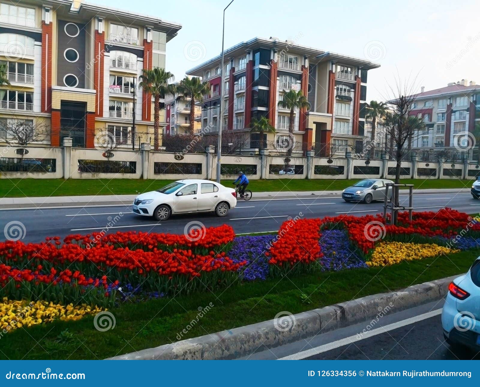 Istanbul, Turquie 30 mars 2018 : Matin tôt d'hiver, coloré. Istanbul, Turquie 30 mars 2018 : Matin tôt d'hiver, les tulipes colorées fleurissent admirablement Les personnes turques commencées en conduisant les voitures et quelqu'un faisaient un cycle pour travailler