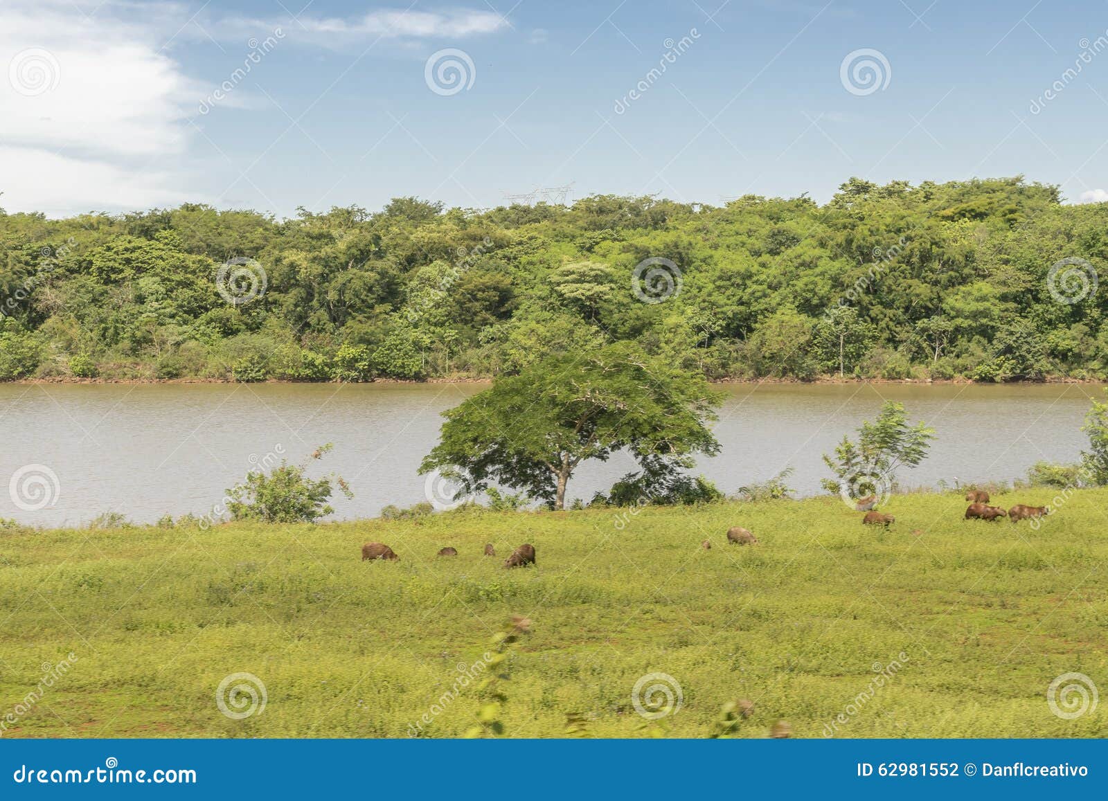 itaipu park at brazilian border