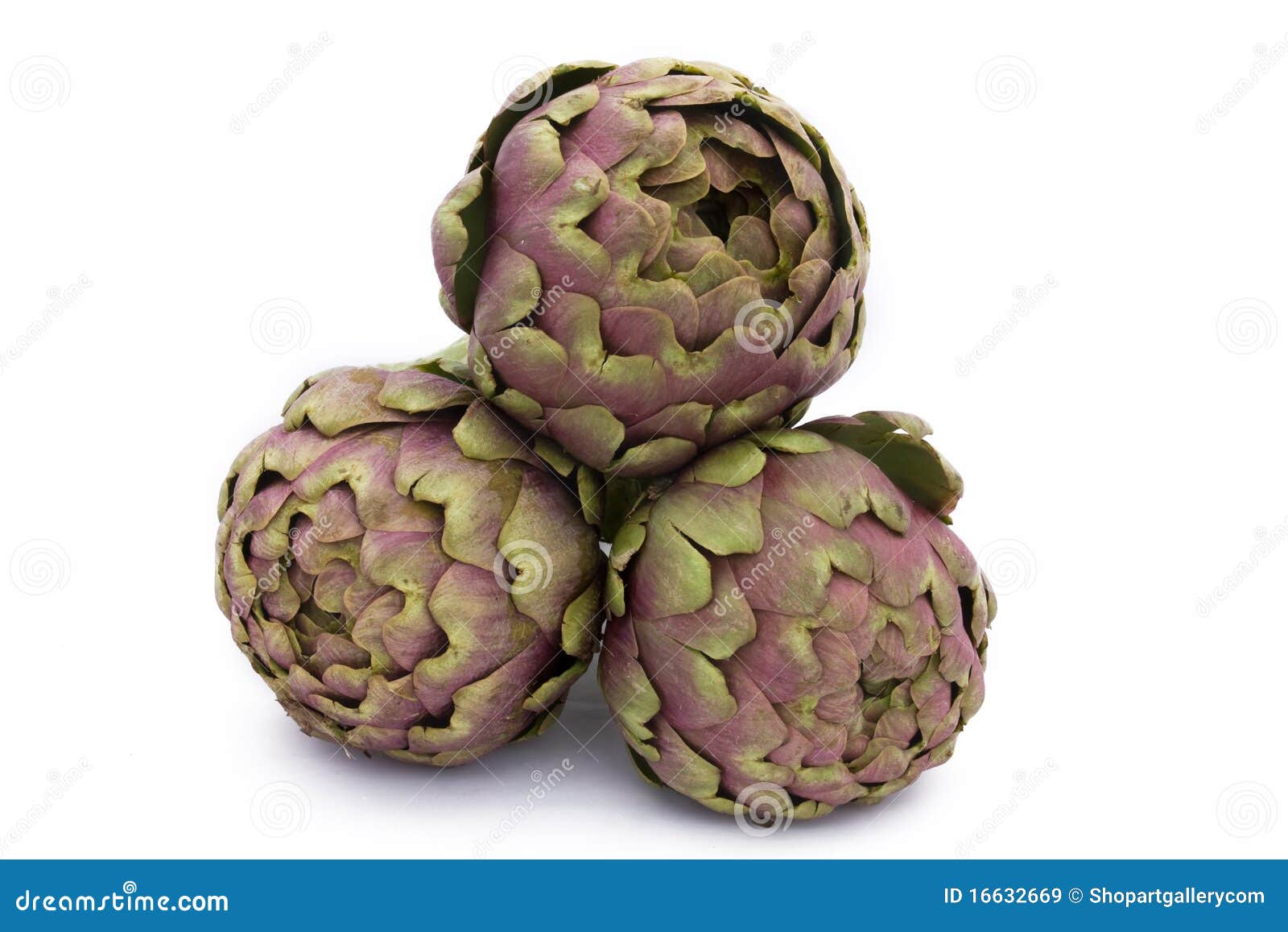 Italian Artichokes stock image. Image of tasty, vitamin 16632669