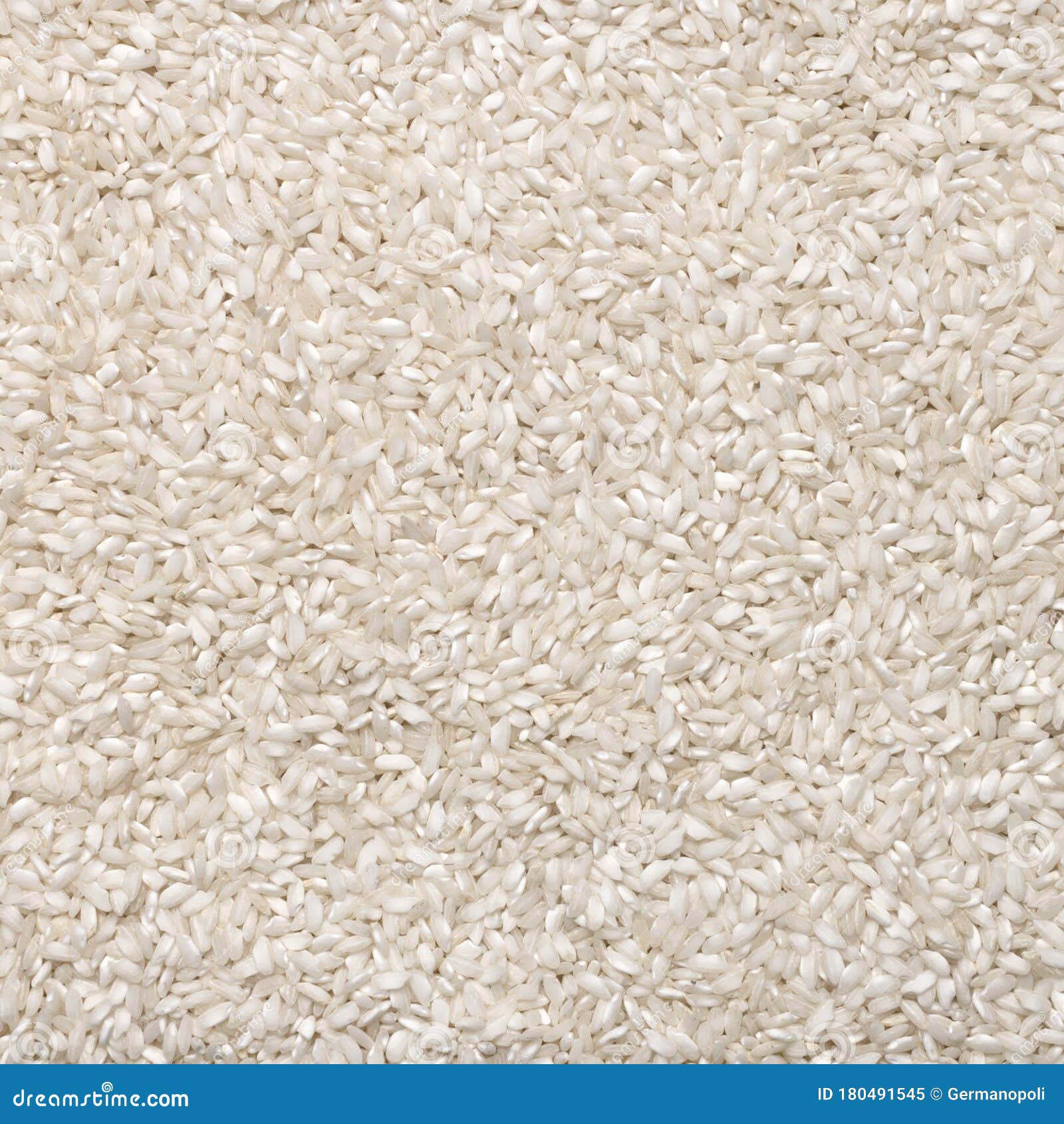 Italian Carnaroli Risotto Rice Stock Image Image of italian, culinary