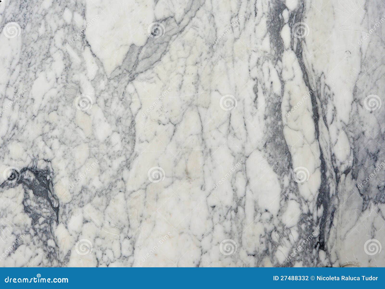 italian carrara marble detail