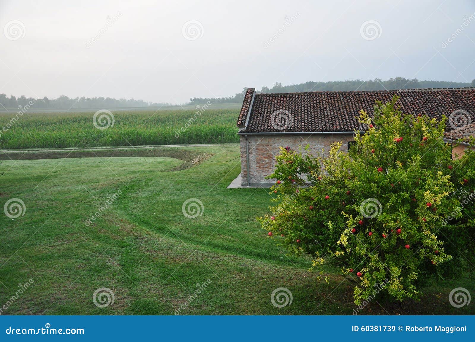 italian countryside - farmland by mantova
