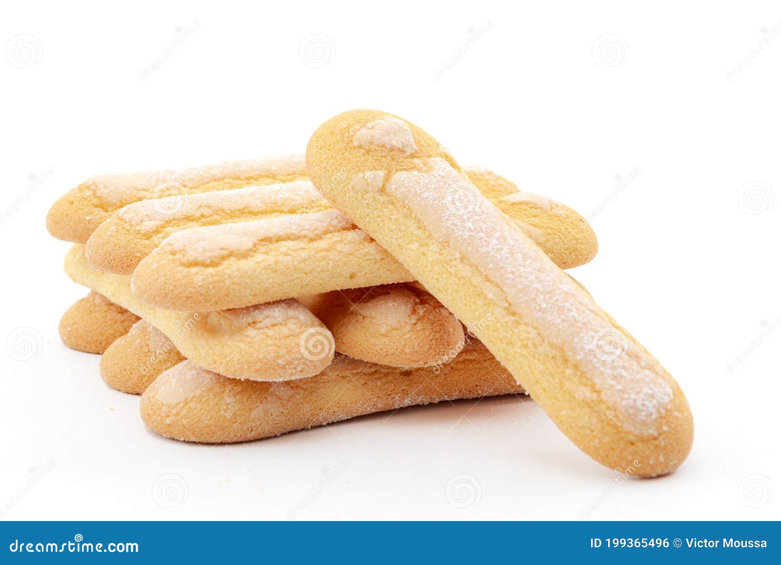 italian desserts and sponge cookies concept with lady fingers or savoiardi biscuit  on white background