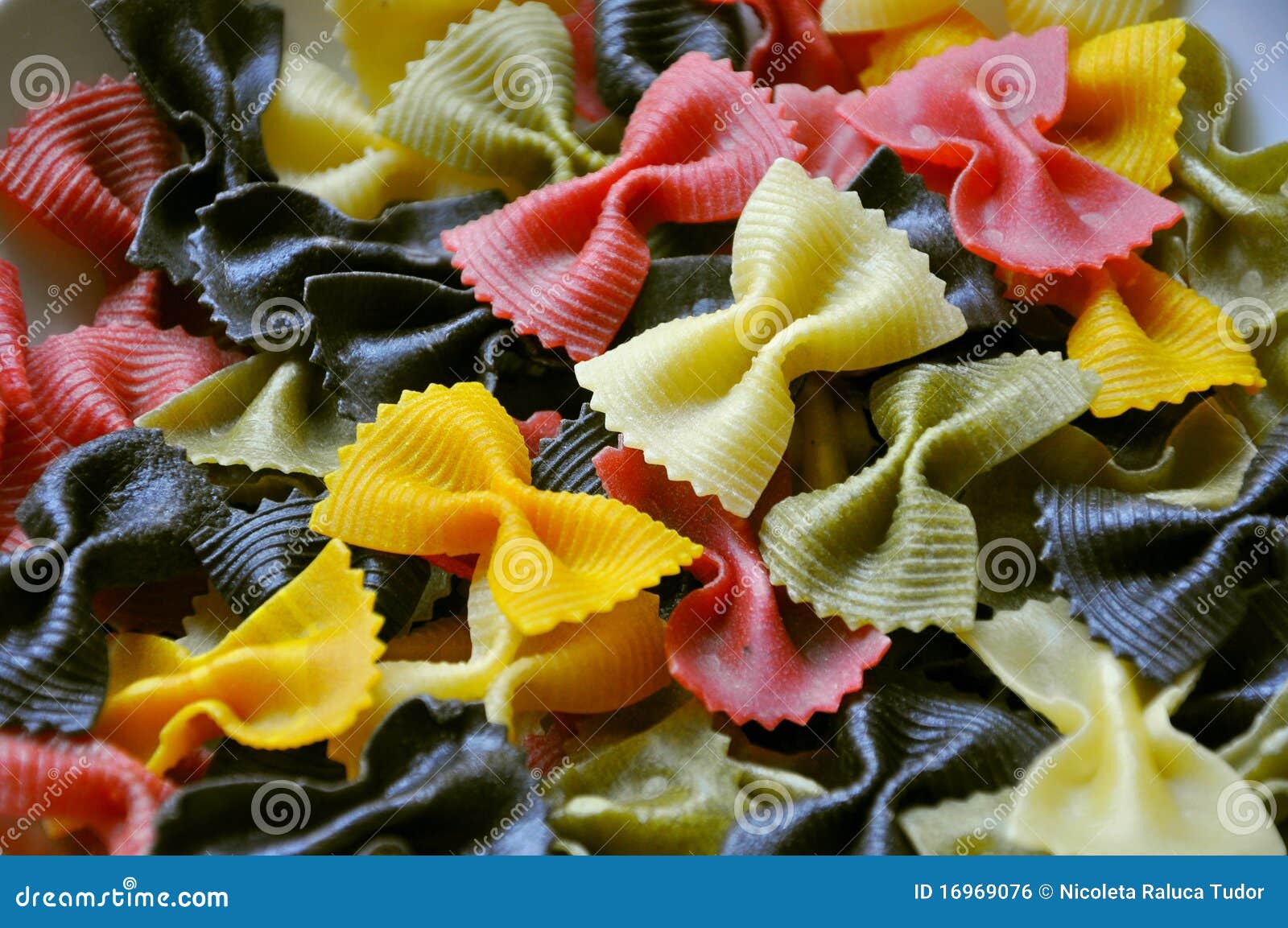 Italian food: pasta stock photo. Image of close, dried - 16969076