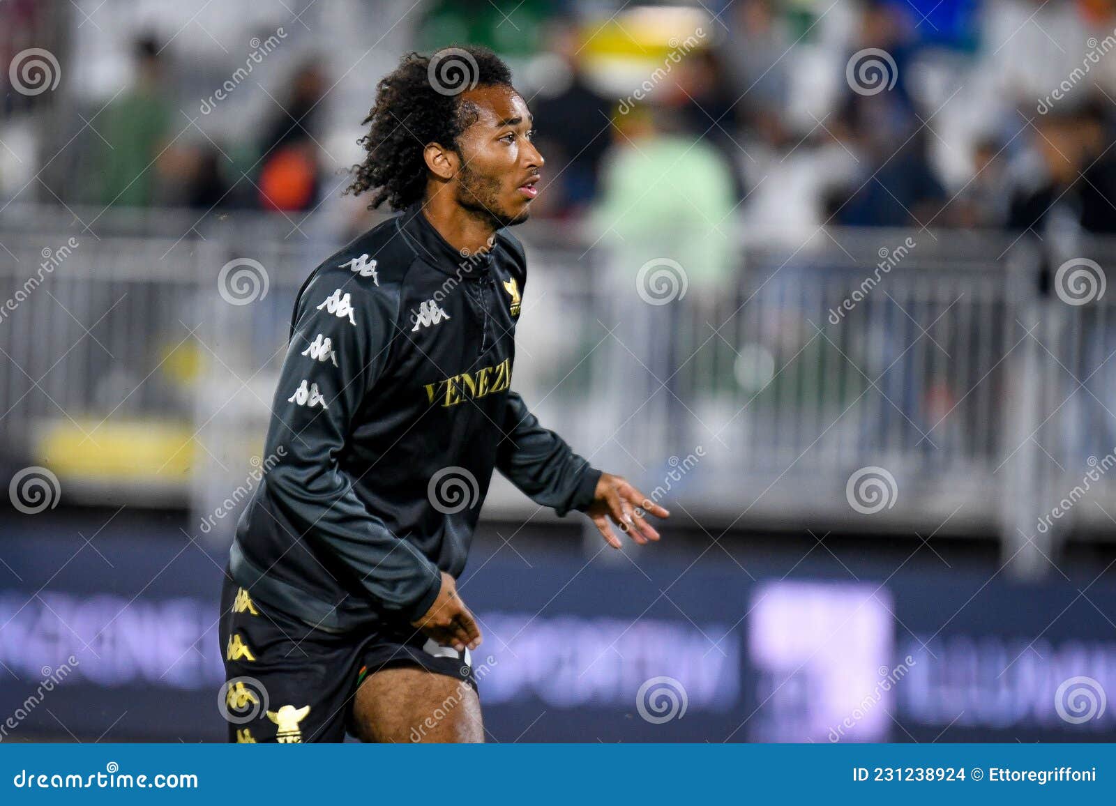 Italian Football Serie a Match - Venezia FC Vs Torino FC Editorial Photo -  Image of championship, goal: 231239421