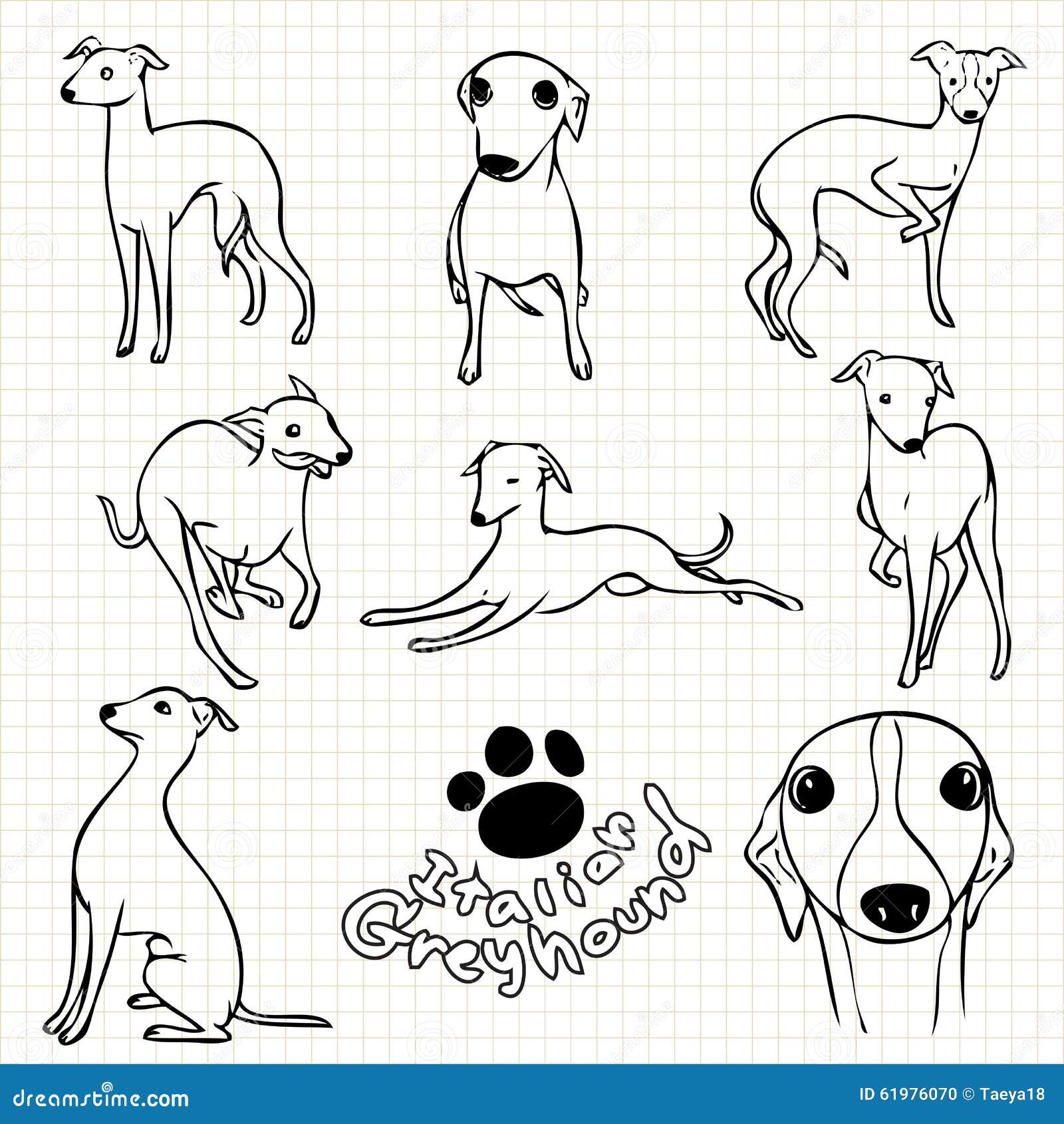 Italian Greyhound Dog Stock Illustrations – 319 Italian Greyhound Dog Stock Illustrations, Vectors & Clipart - Dreamstime Italian Greyhound Dog Stock Illustrations – 319 Italian Greyhound Dog Stock Illustrations, Vectors & Clipart - Dreamstime