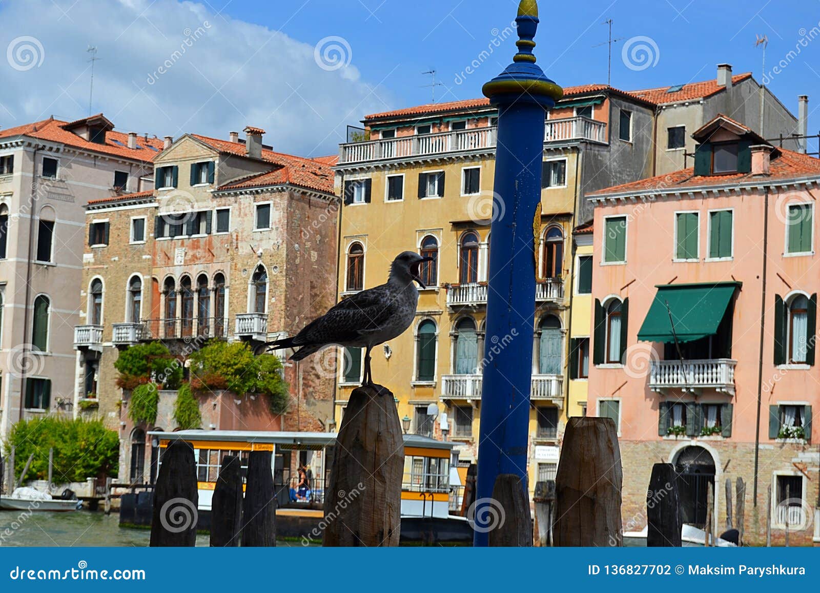 proud bird is talking, architecture, native people, i veneziani, persone, old buildings,