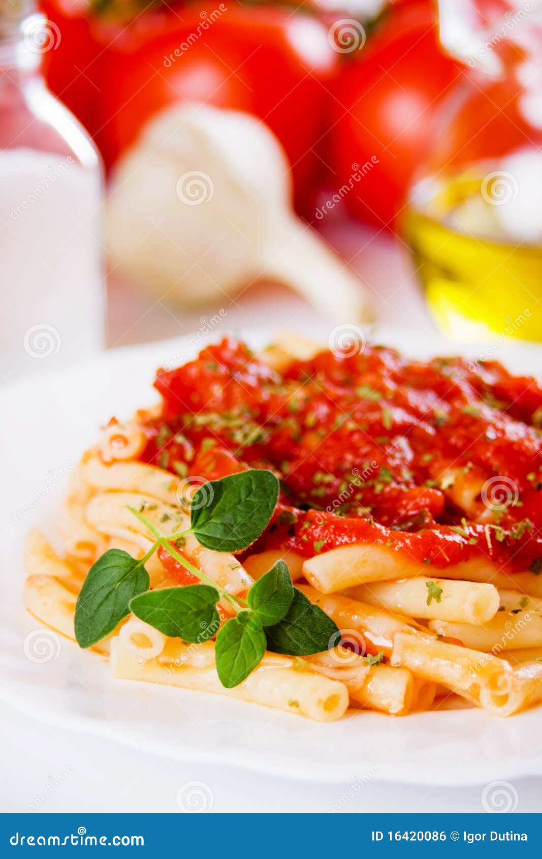 Italian macaroni pasta stock photo. Image of sauce, meal 16420086