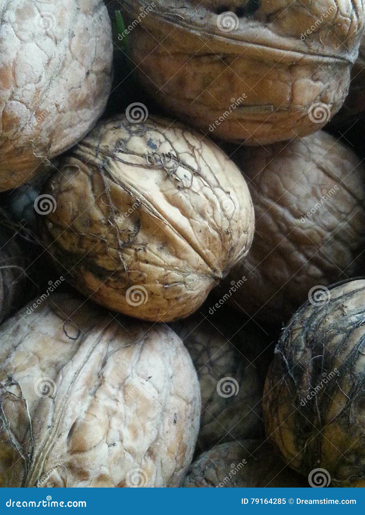 Italian nuts stock image. Image of cuisine, autumn, fall 79164285
