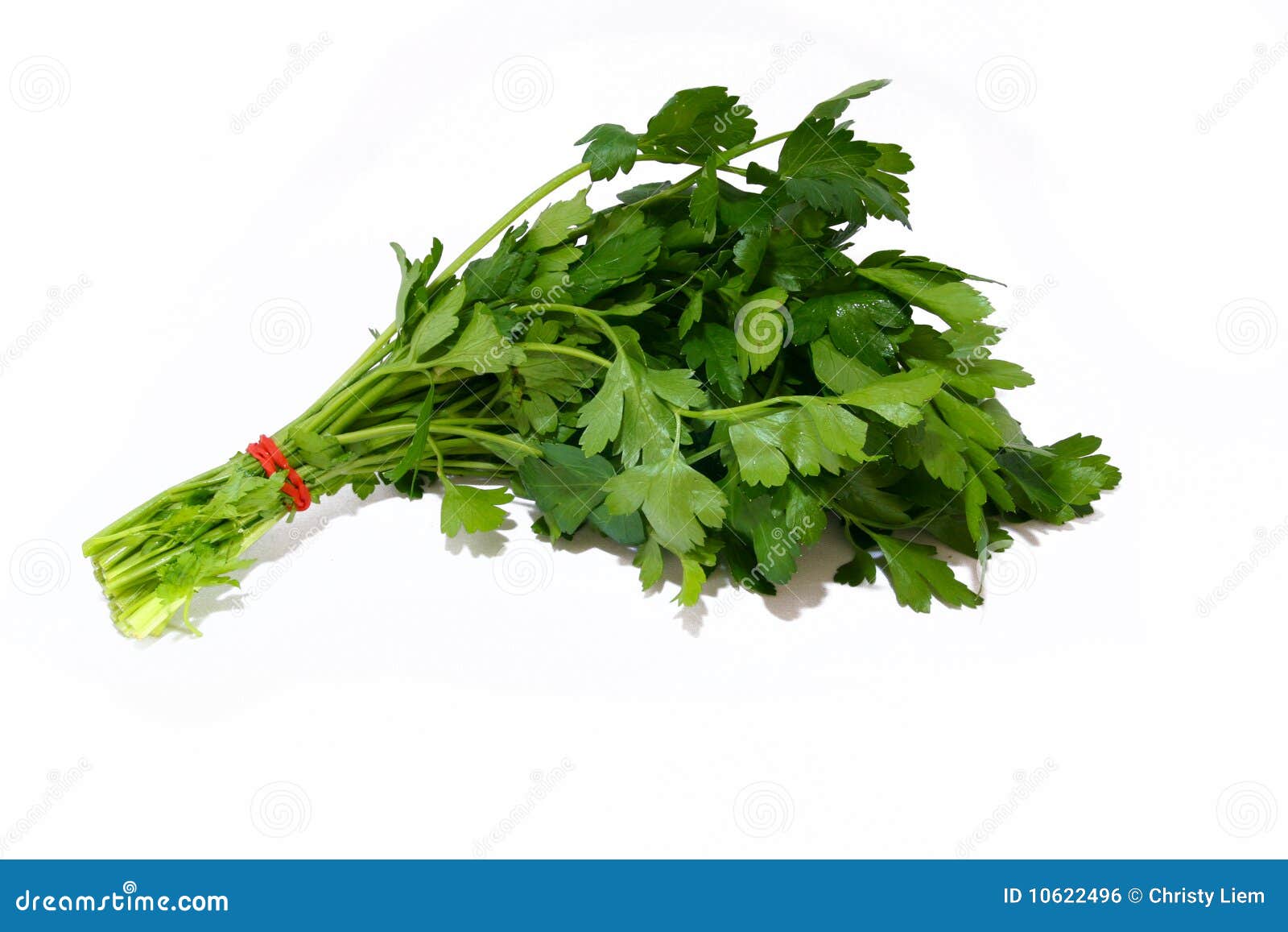 Italian Parsley stock photo. Image of ingredient, diet 10622496
