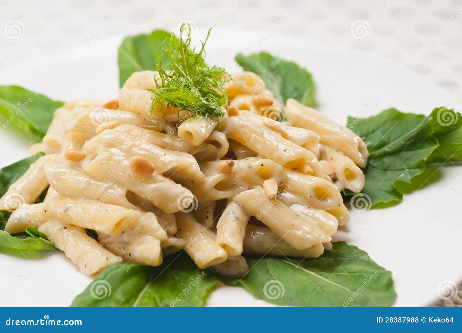 Italian Pasta Penne and Pine Nuts Stock Photo Image of dinner, cheese 28387988