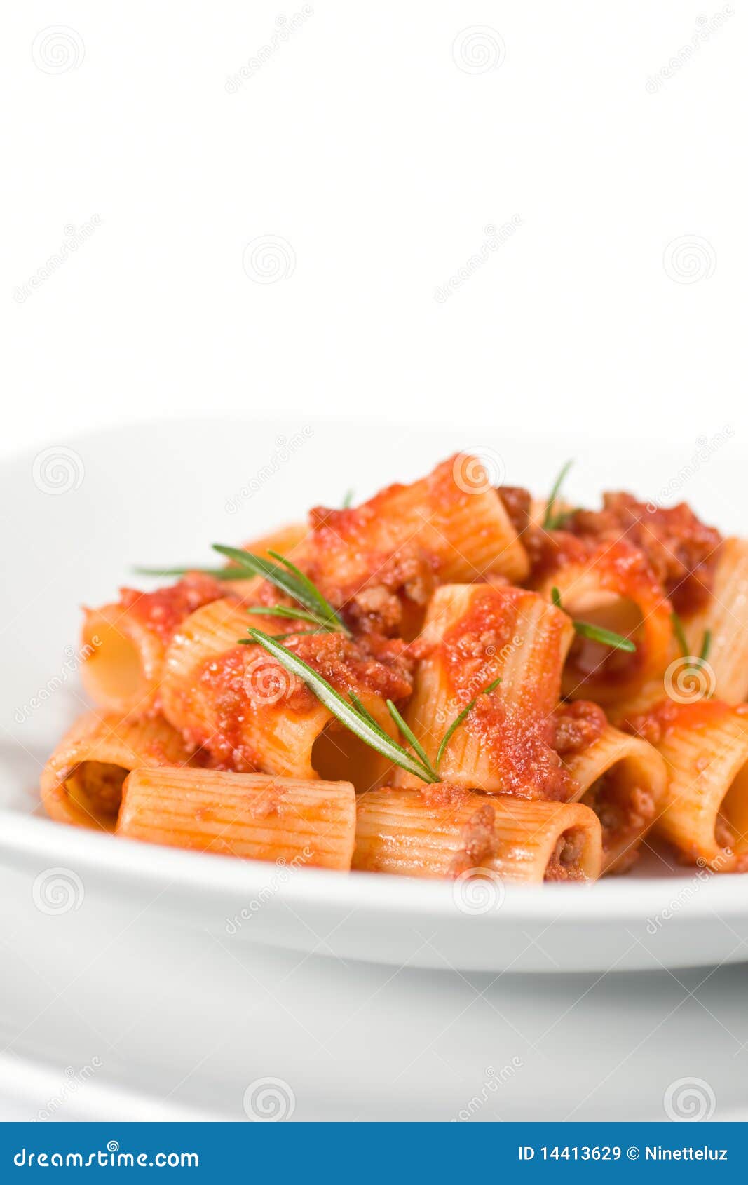 Italian Pasta and Sauce stock image. Image of gourmet - 14413629