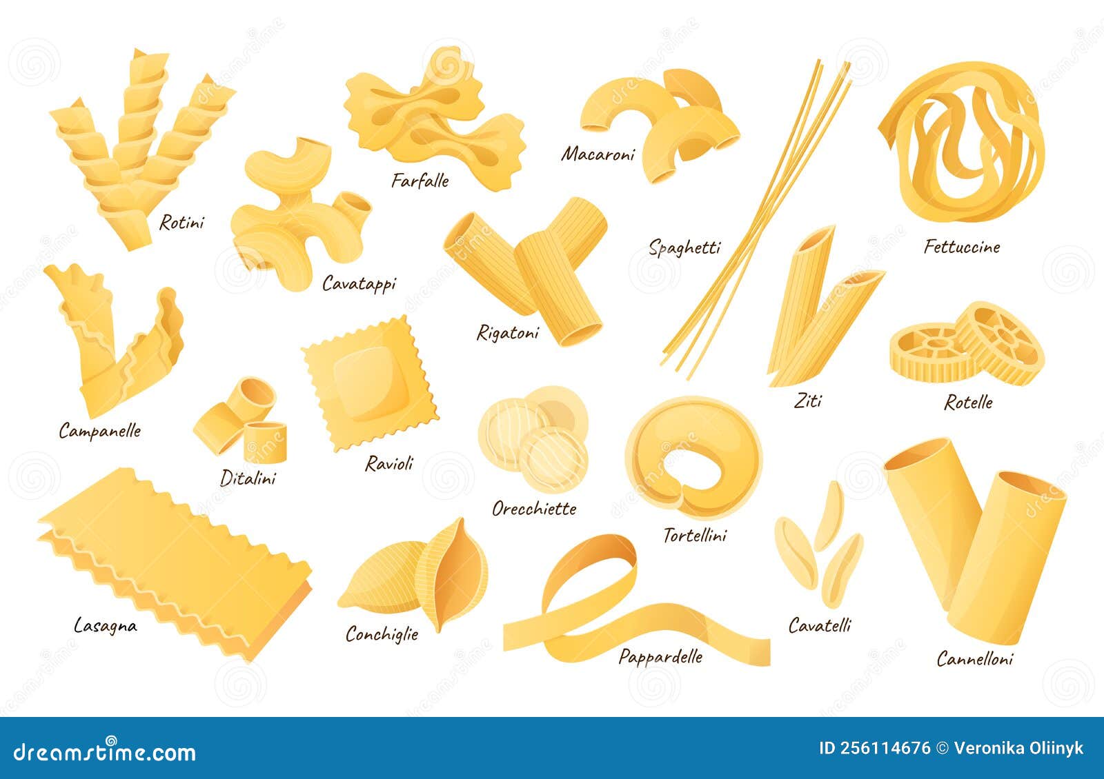 Different types macaroni and italian pasta Vector Image