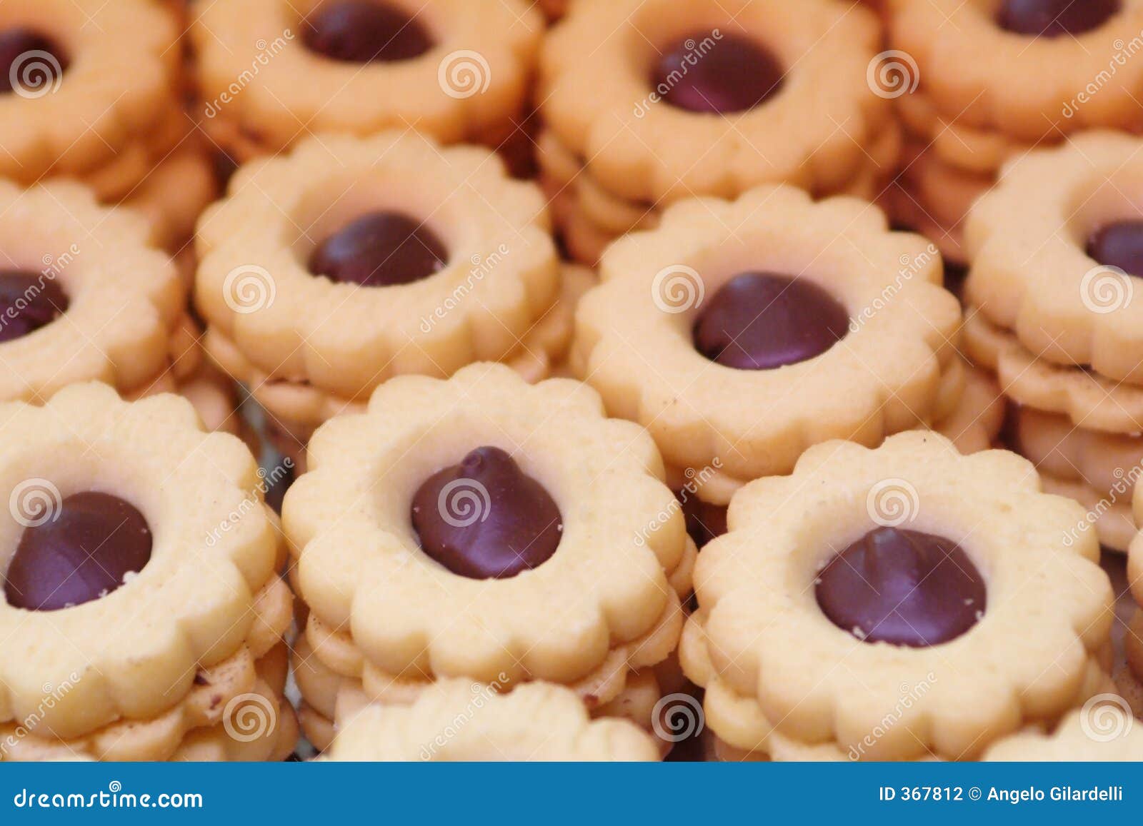 Italian Pastry Biscuit with Chocolate Stock Photo Image of bake