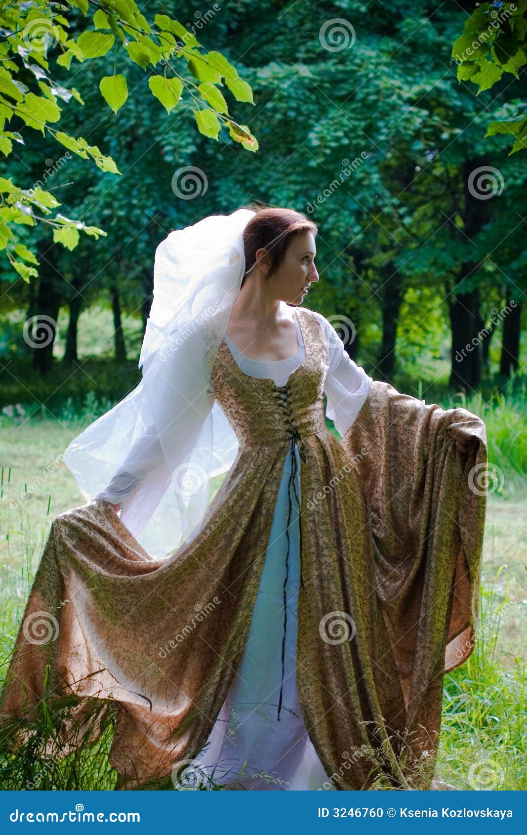 Italian renaissance dress stock photo ...