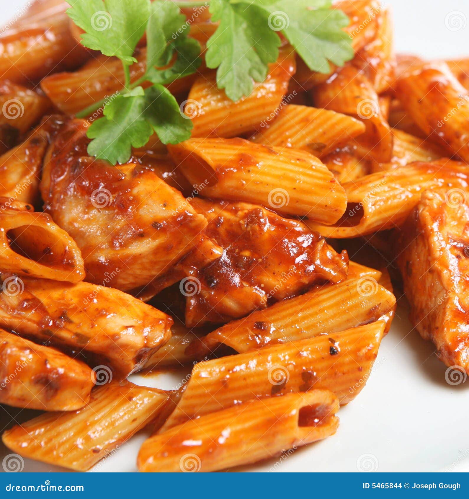 Italian Rigatoni Pasta Meal Stock Photo Image of dish, sauce 5465844