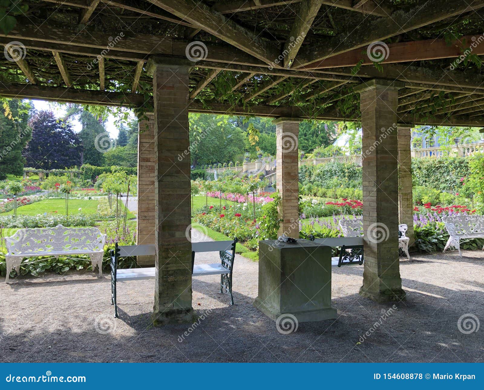 Italian Rose Garden Or Italienscher Rosengarten Flower Island