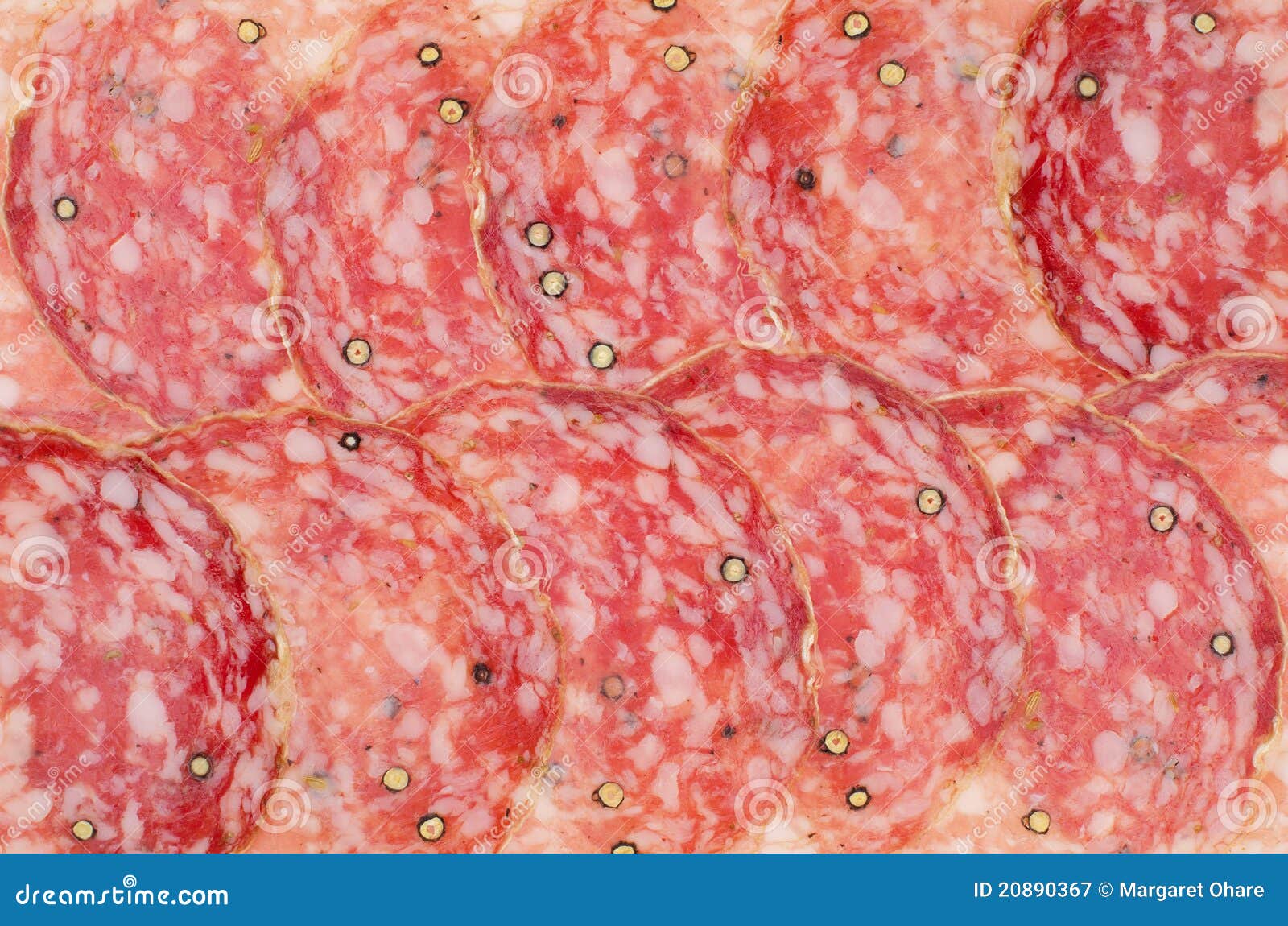 Italian salami fennel stock image. Image of salami, italian 20890367