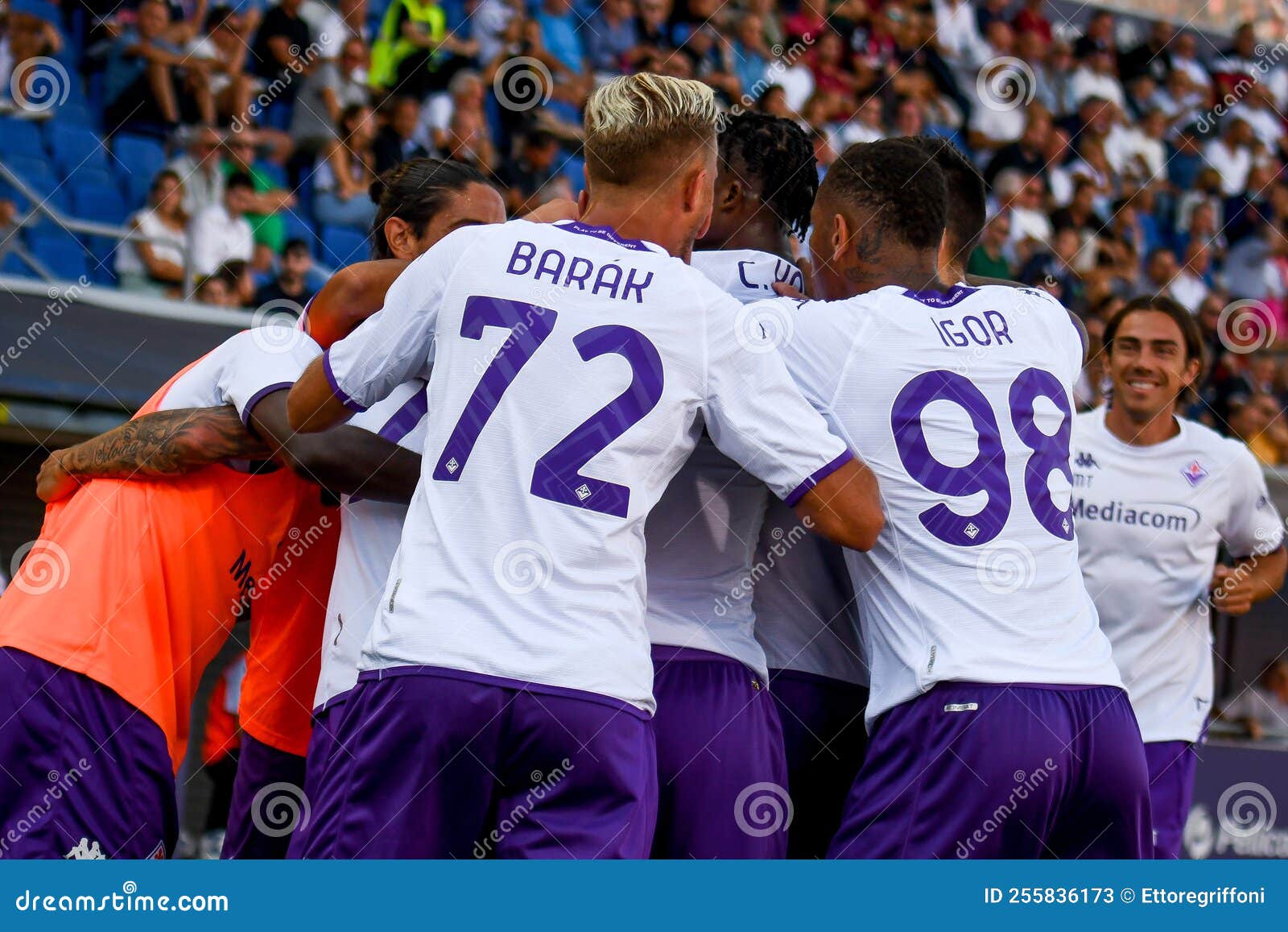 Italian Soccer Serie a Match - Bologna FC Vs ACF Fiorentina