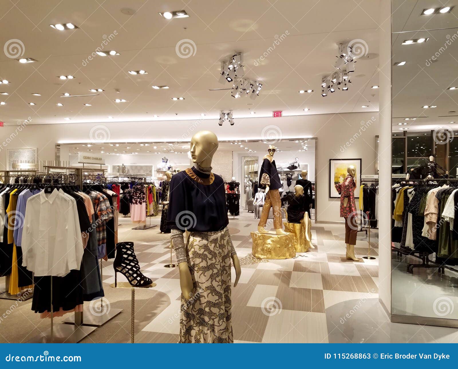 Items on Display Inside Saks Fifth Avenue Editorial Stock Photo - Image of  building, retail: 115268863