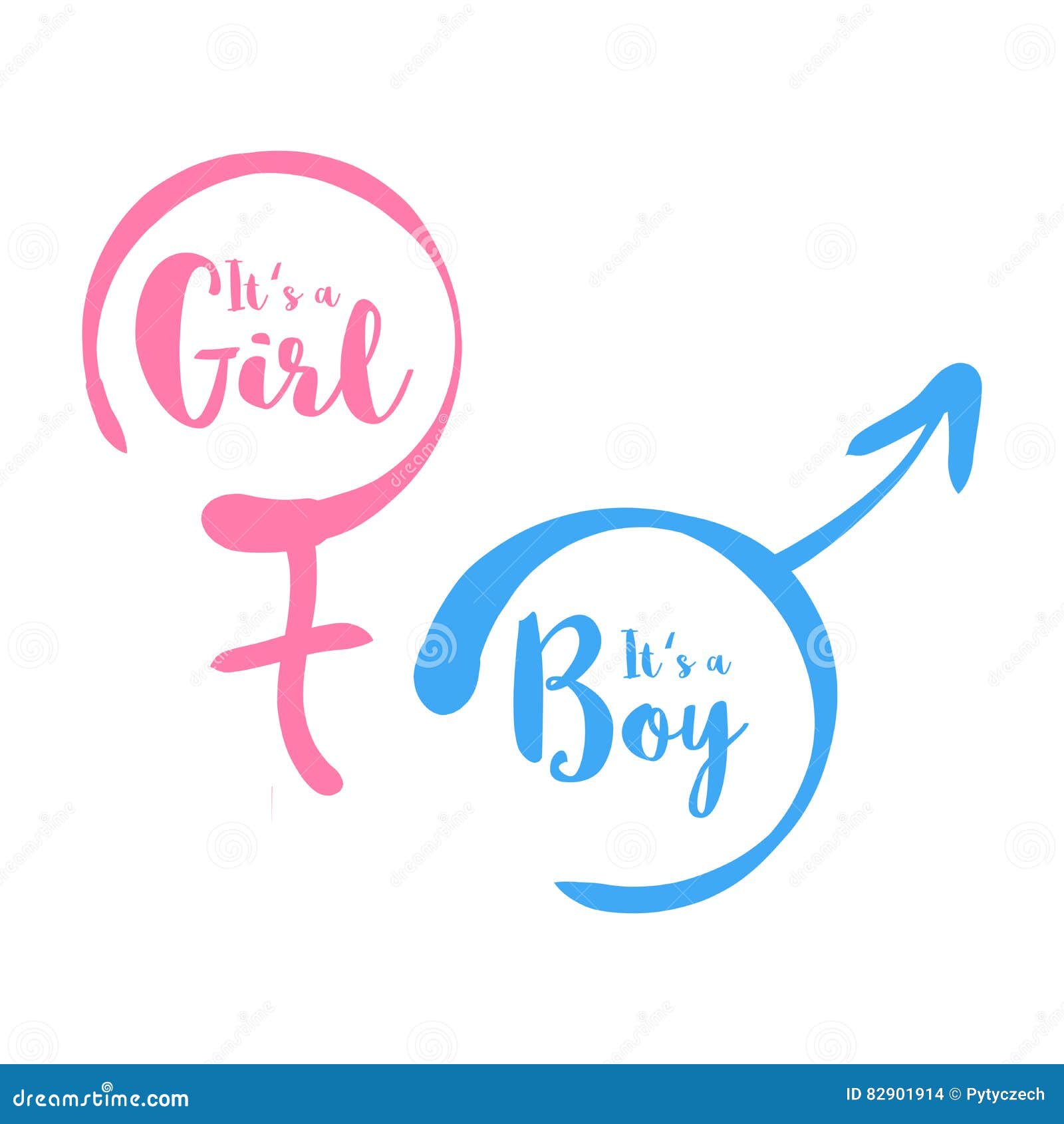 Boy Or Girl Gender