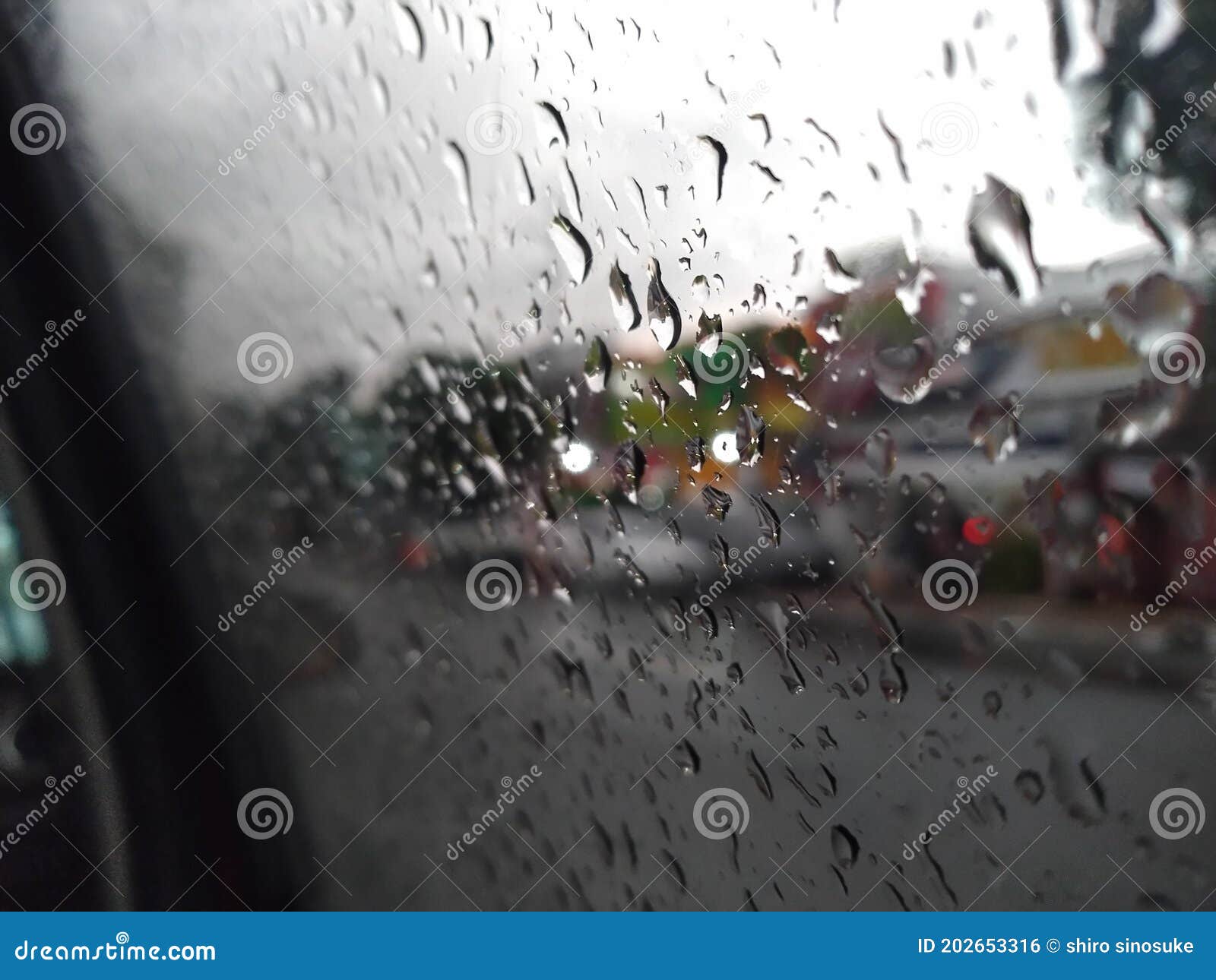 Its a rainy day stock photo. Image of nature, rainy 202653316