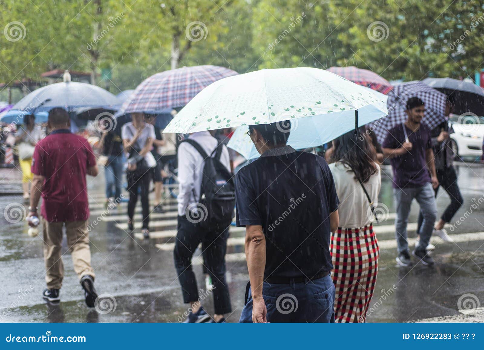 Itâ€™s pada w ranku i pedestrians chodzi przez drogowej przepustki skrzyżowaniem,. Nanjing, Jiangsu, Taiping Południowa droga, dżdżysty wczesny poranek ziemia zielonych światła ruchu, powabni odbicia, pedestrians krzyżuje drogę z parasolami