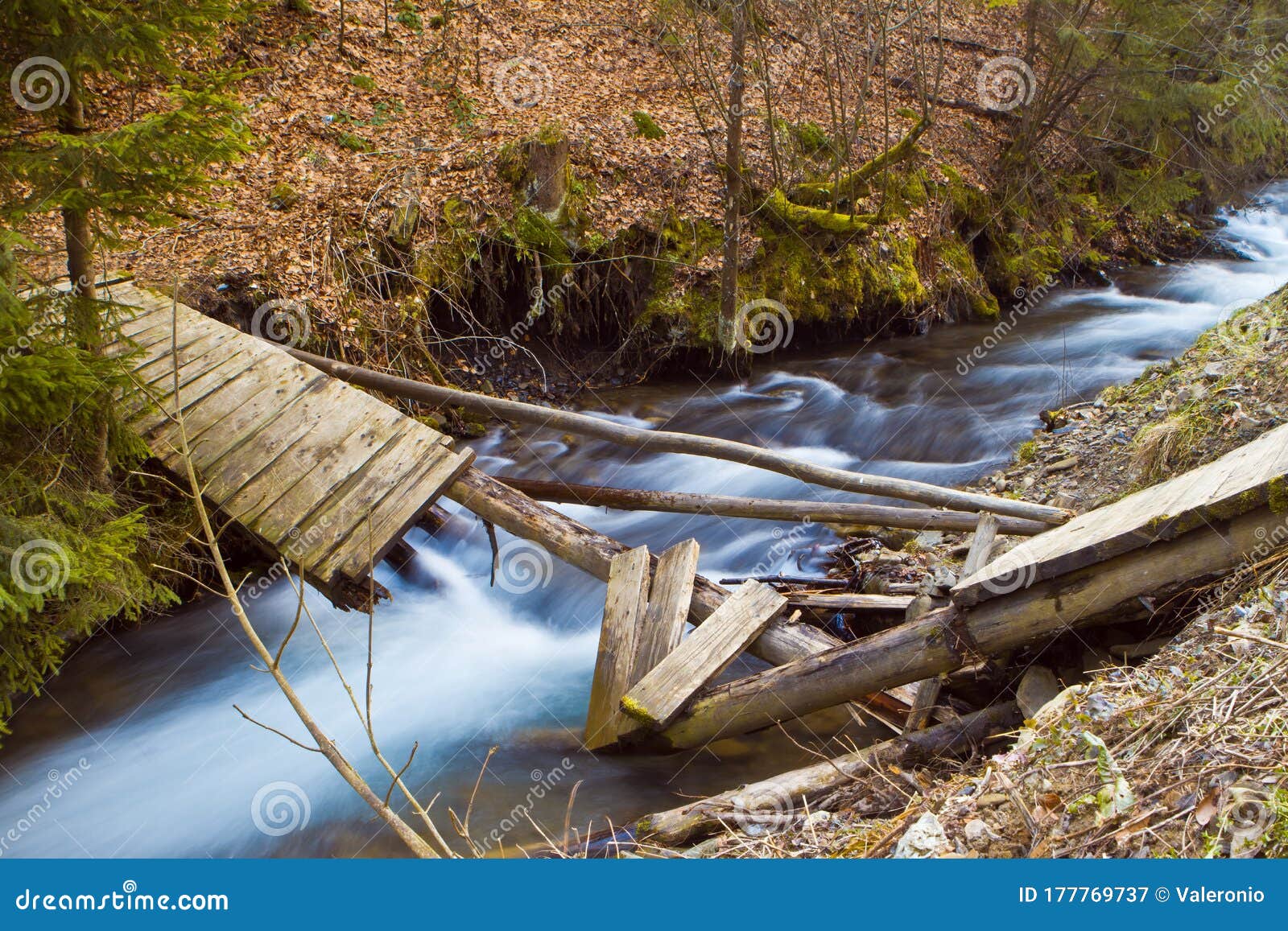 Iver Pylypets With Fast Current A Broken Wooden Bridge In The Forest