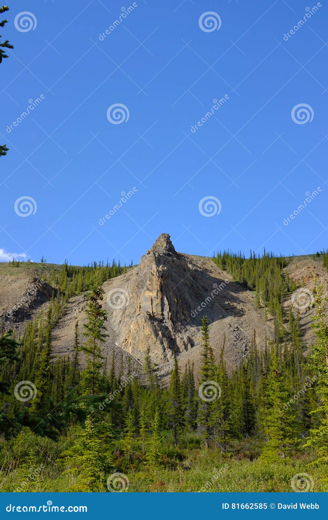 ivvavik national park tors