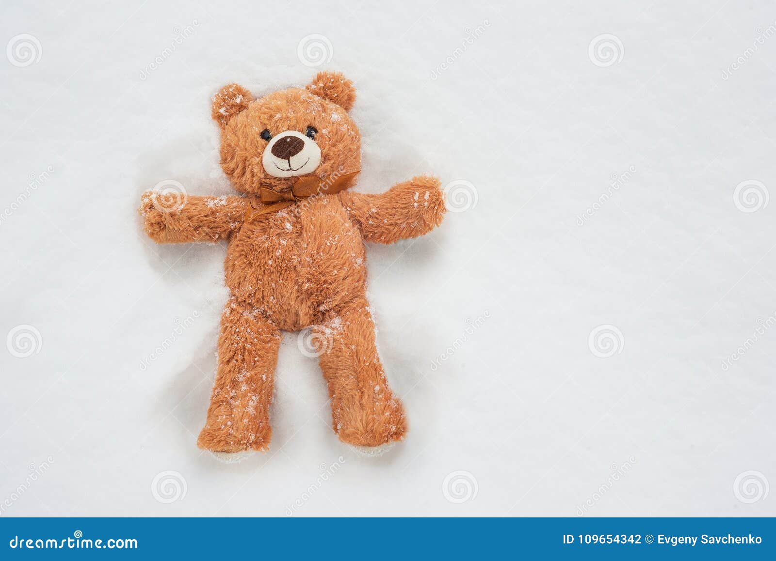 Ivy bear lying in the snow stock photo. Image of friend 109654342