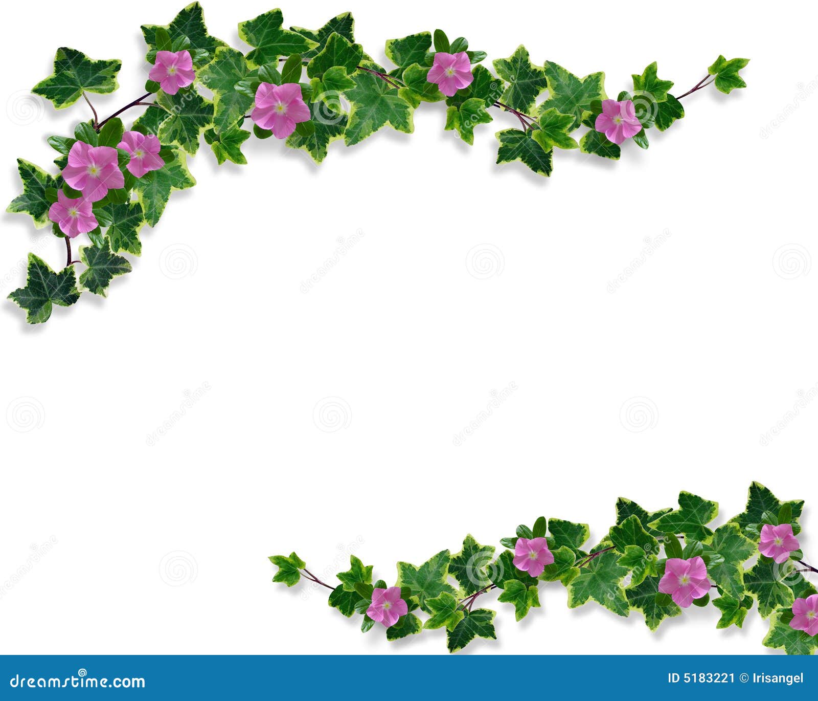 Ivy Floral Design Border Stock Image - Image: 5183221