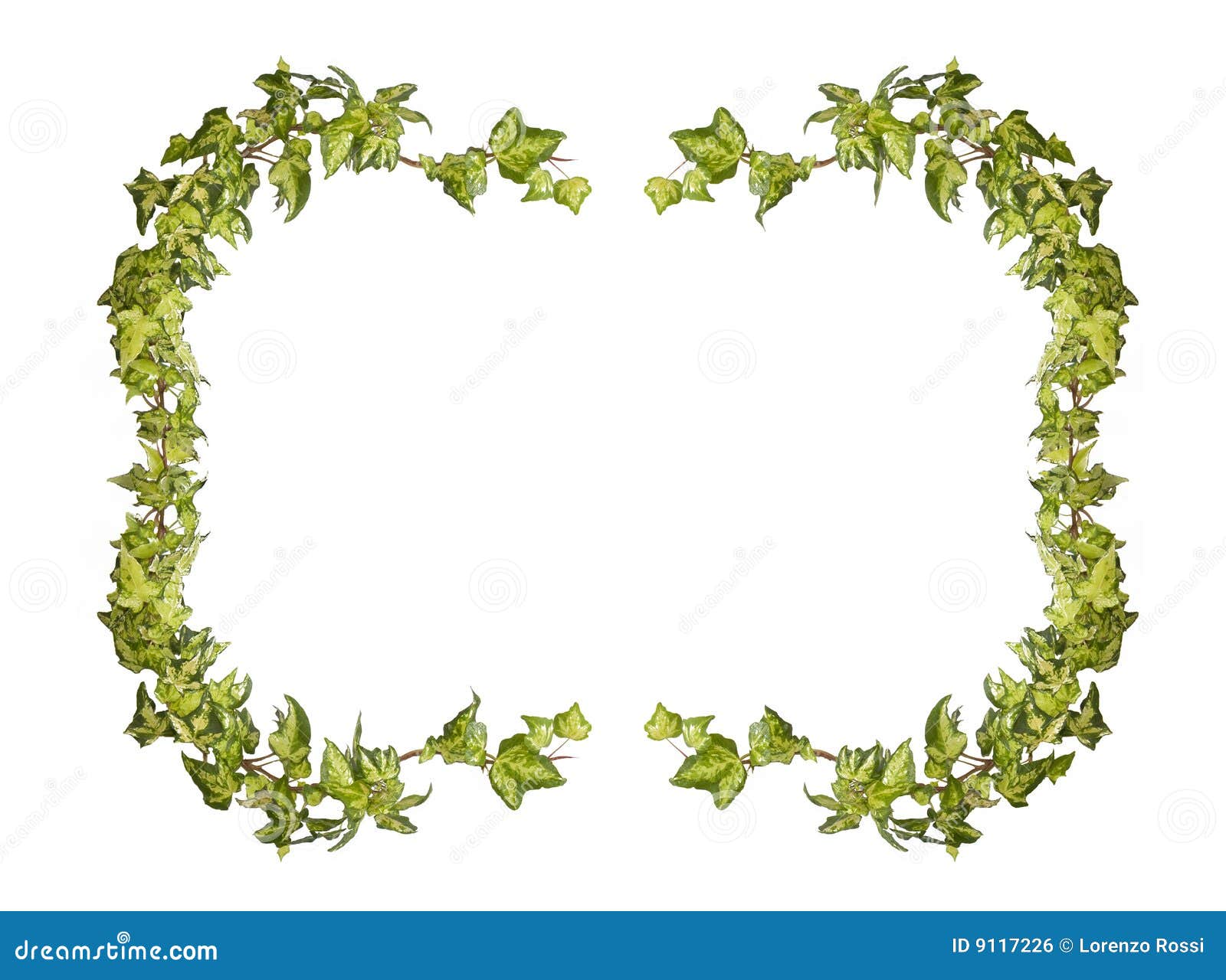 Ivy Frame Royalty Free Stock Image - Image: 9117226