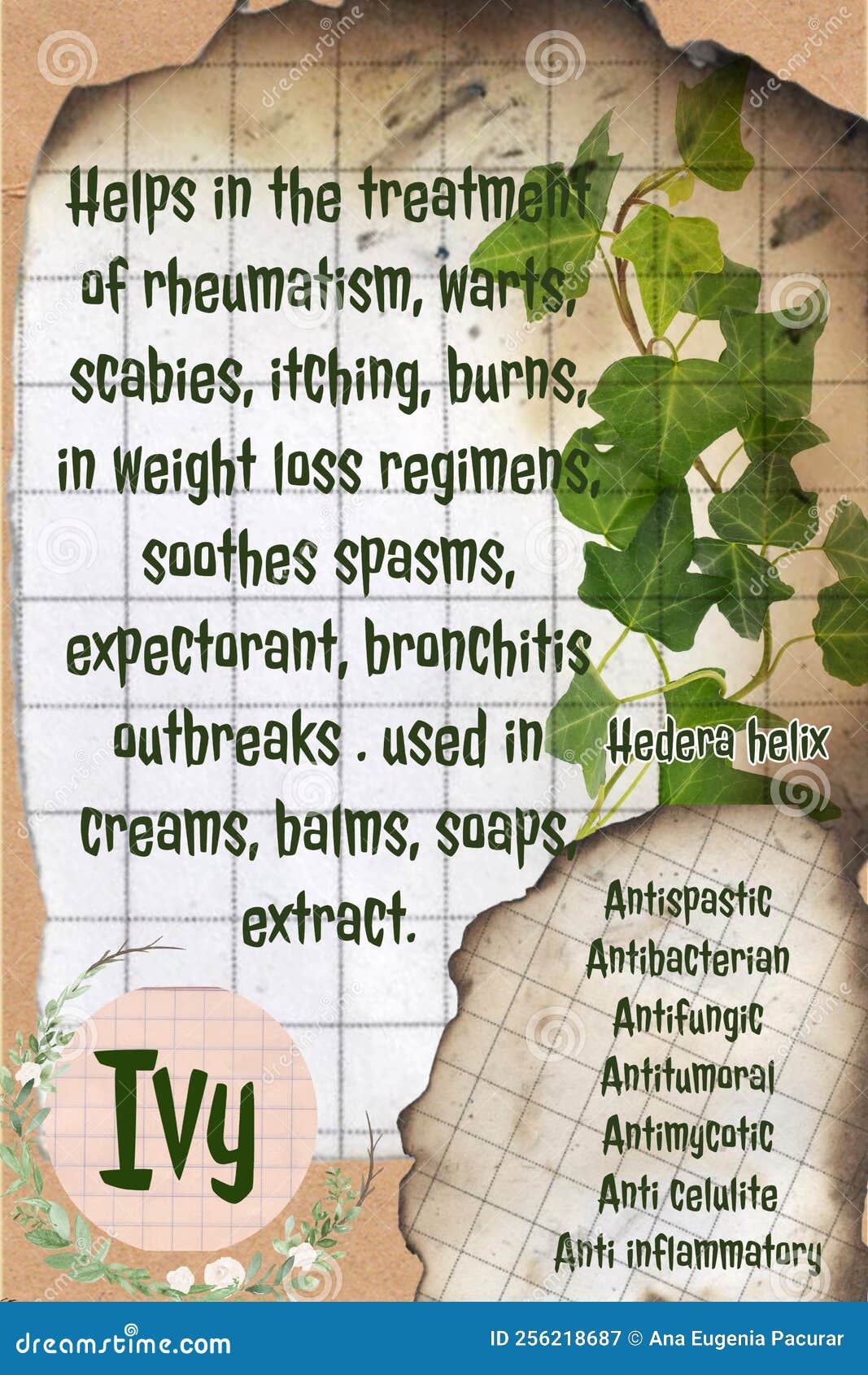 Ivy Herbalist Notebook Page Idea Stock Image Image of idea, notebook