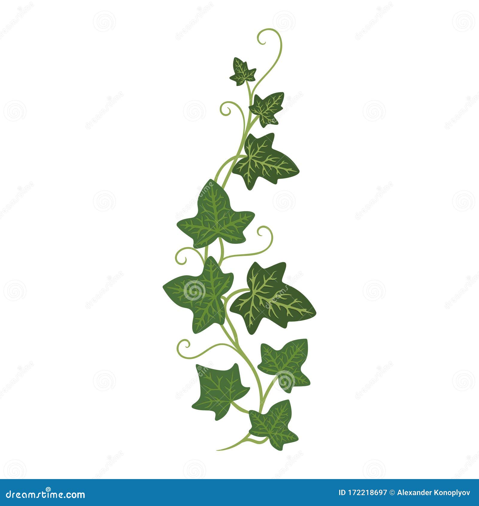 以砖墙为背景的爬山虎属tricuspidata Stock Illustrations 173 以砖墙为背景的爬山虎属tricuspidata Stock Illustrations Vectors Clipart Dreamstime