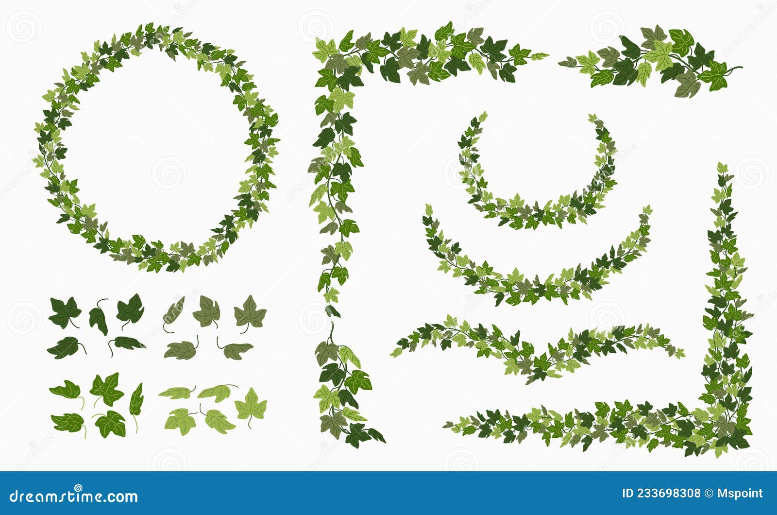 Ivy vines with green leaves floral Royalty Free Vector Image