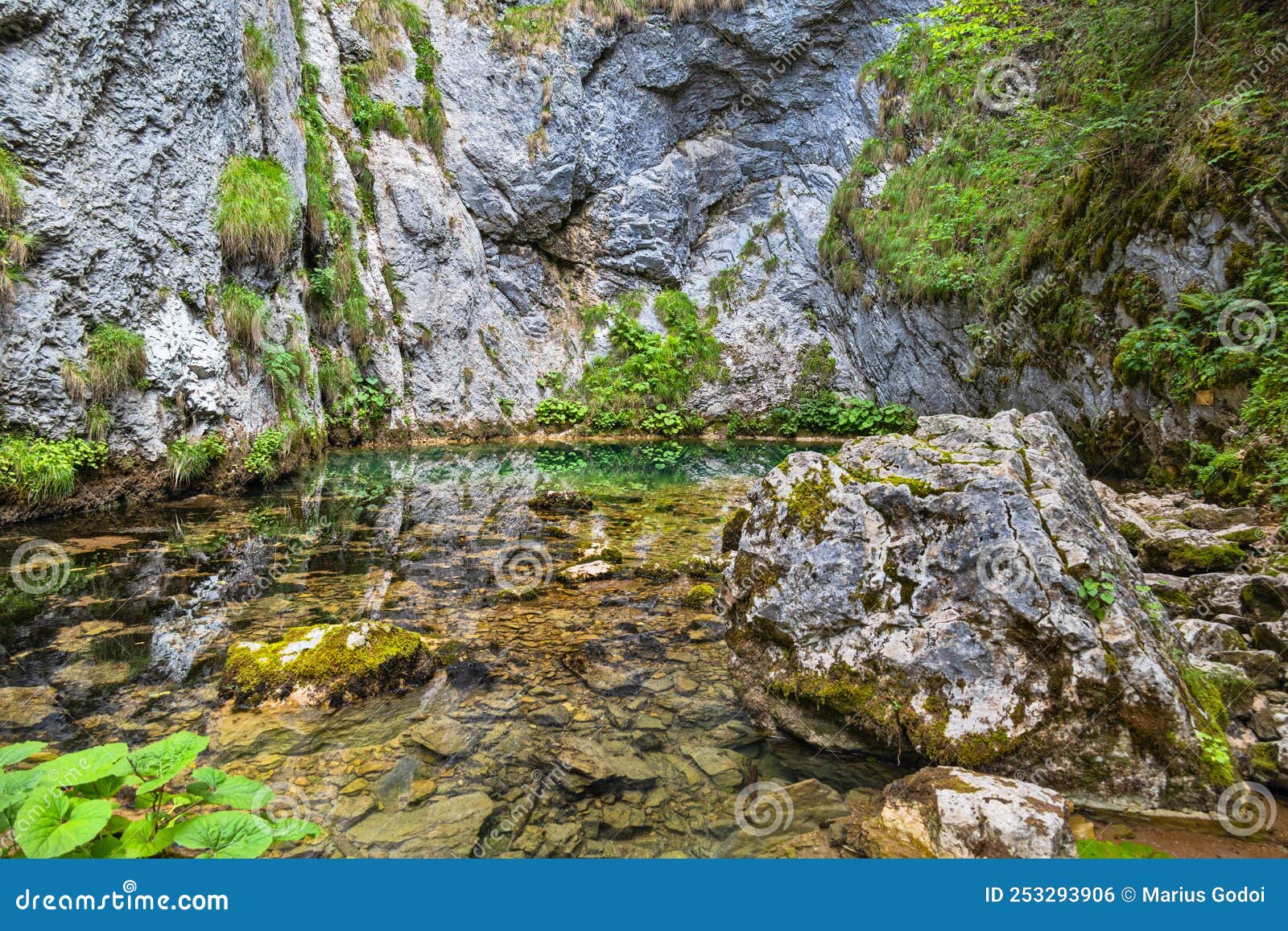 izbucul tauz, in apuseni mountains