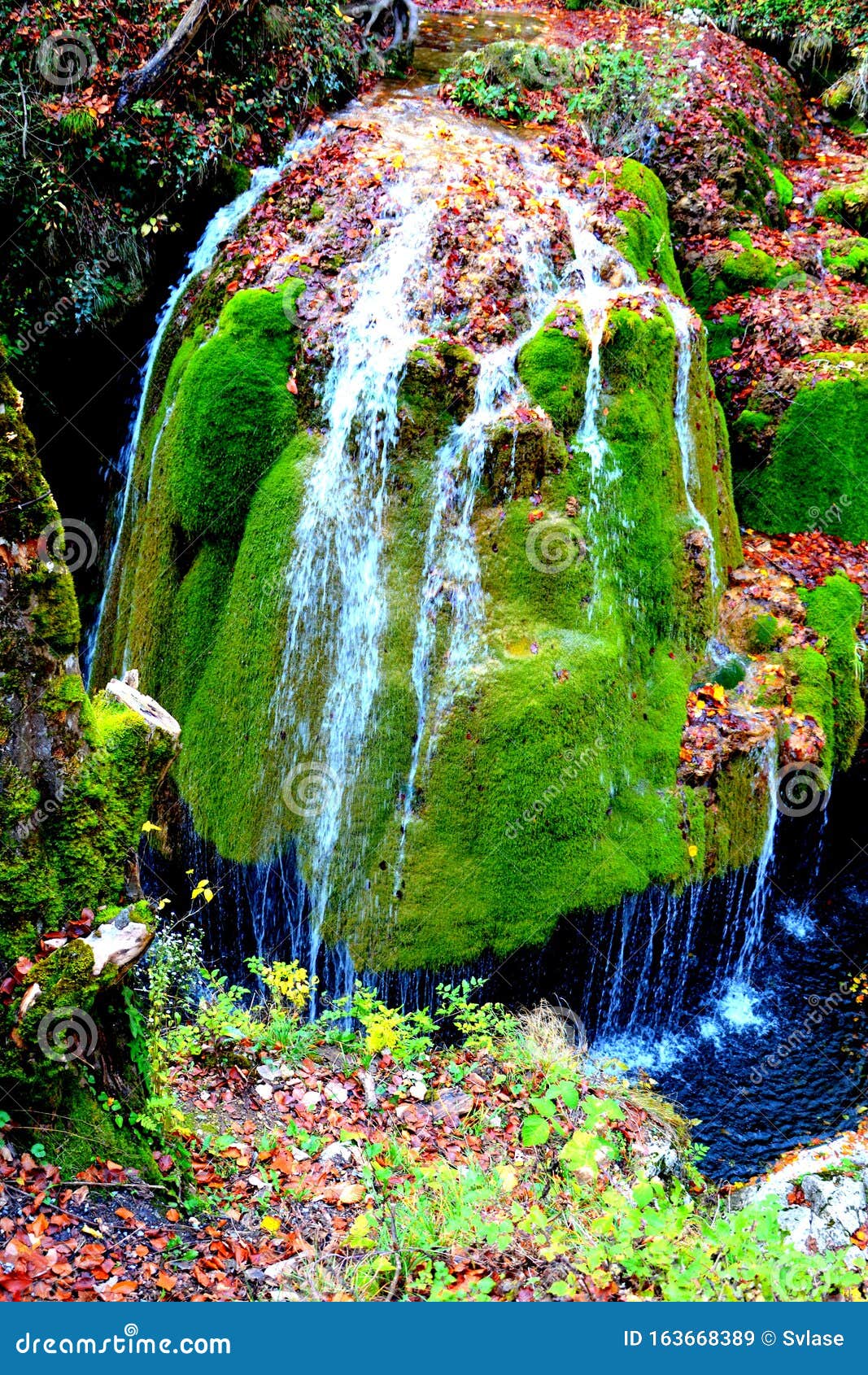 Bigar Wasserfall Rumänien Wunderschoner Wasserfall In Rumanien