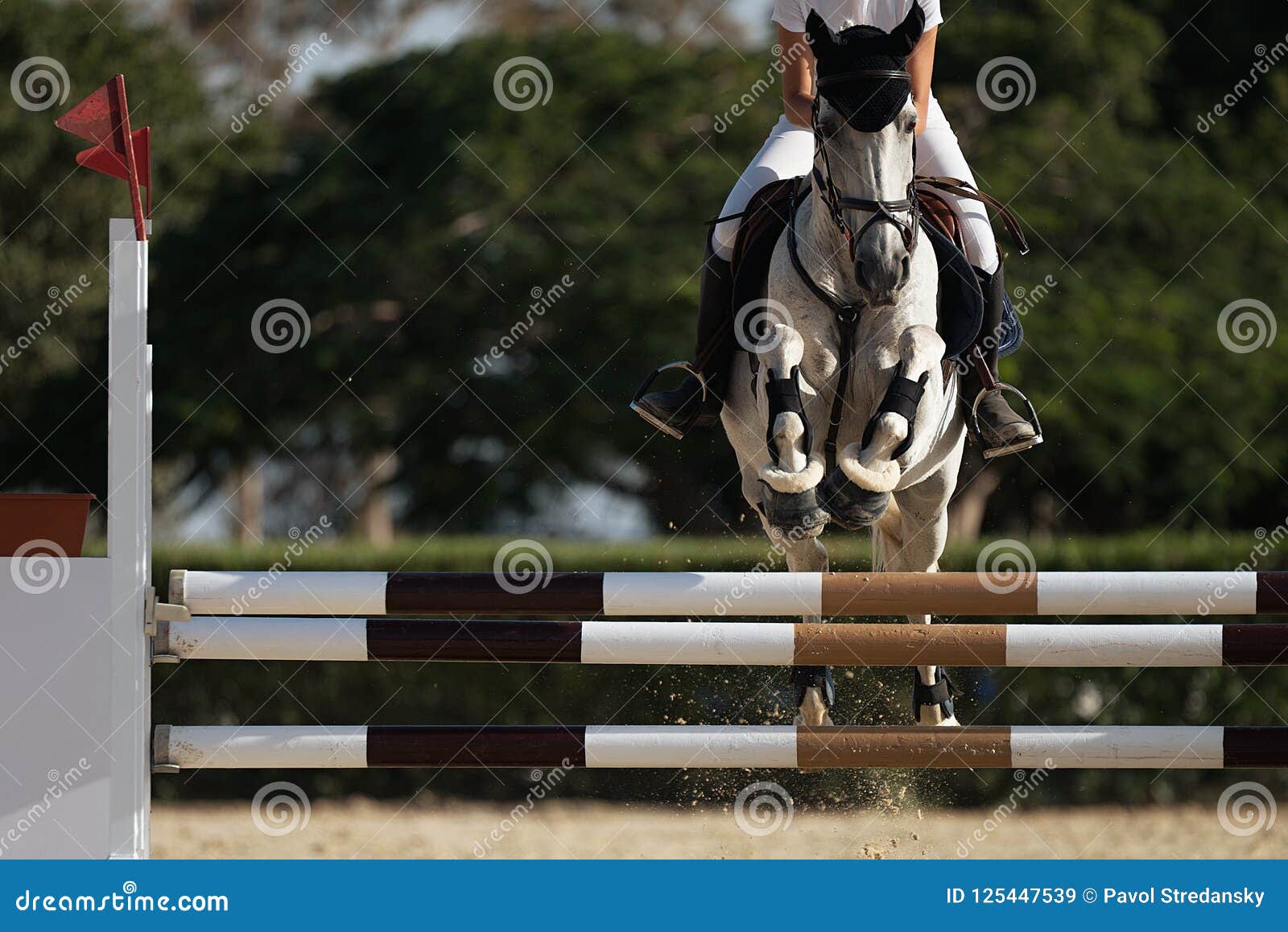 Jóquei Em Seu Cavalo Que Pula Sobre Um Obstáculo Foto de Stock