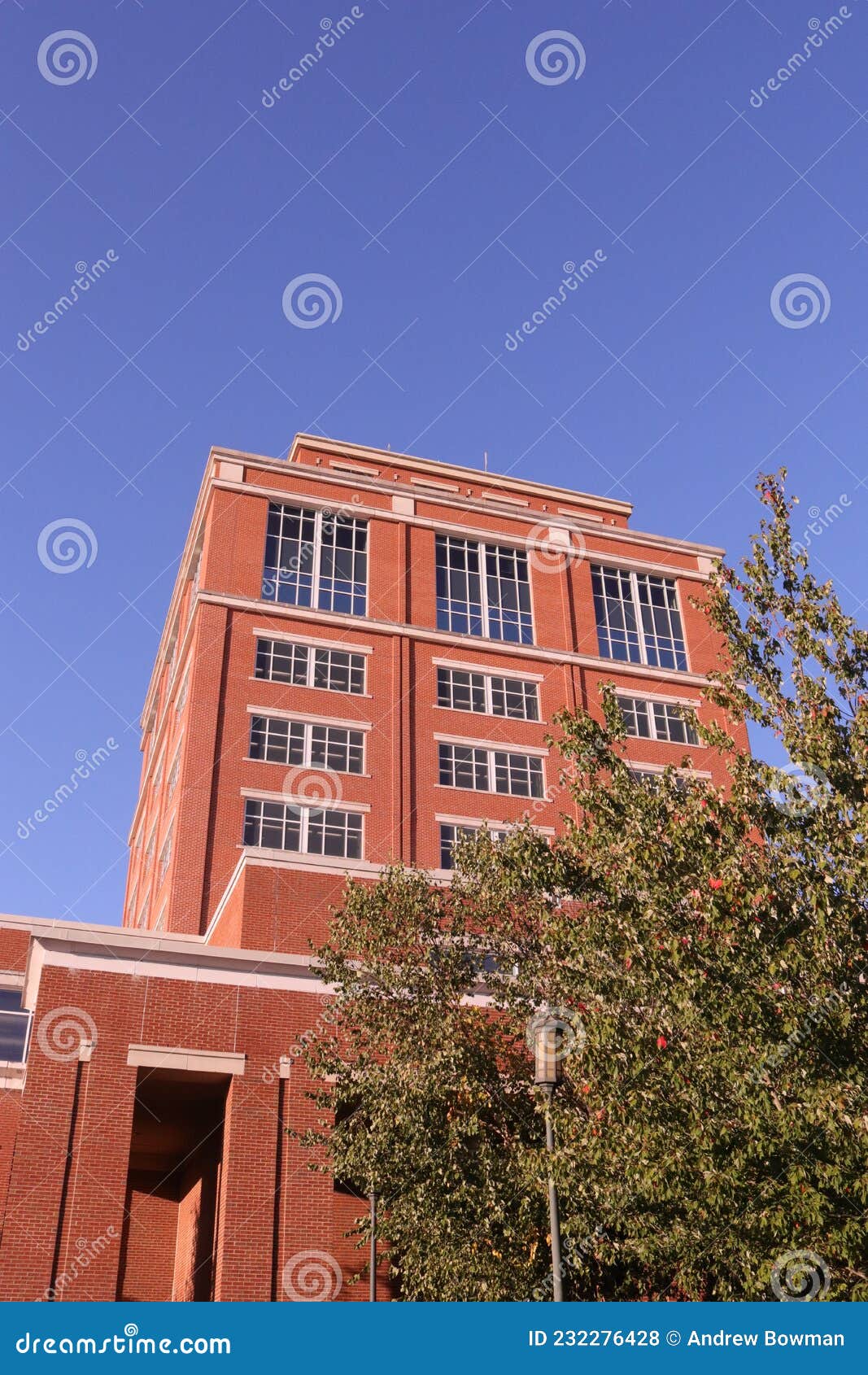 the j. murrey atkins library at unc charlotte