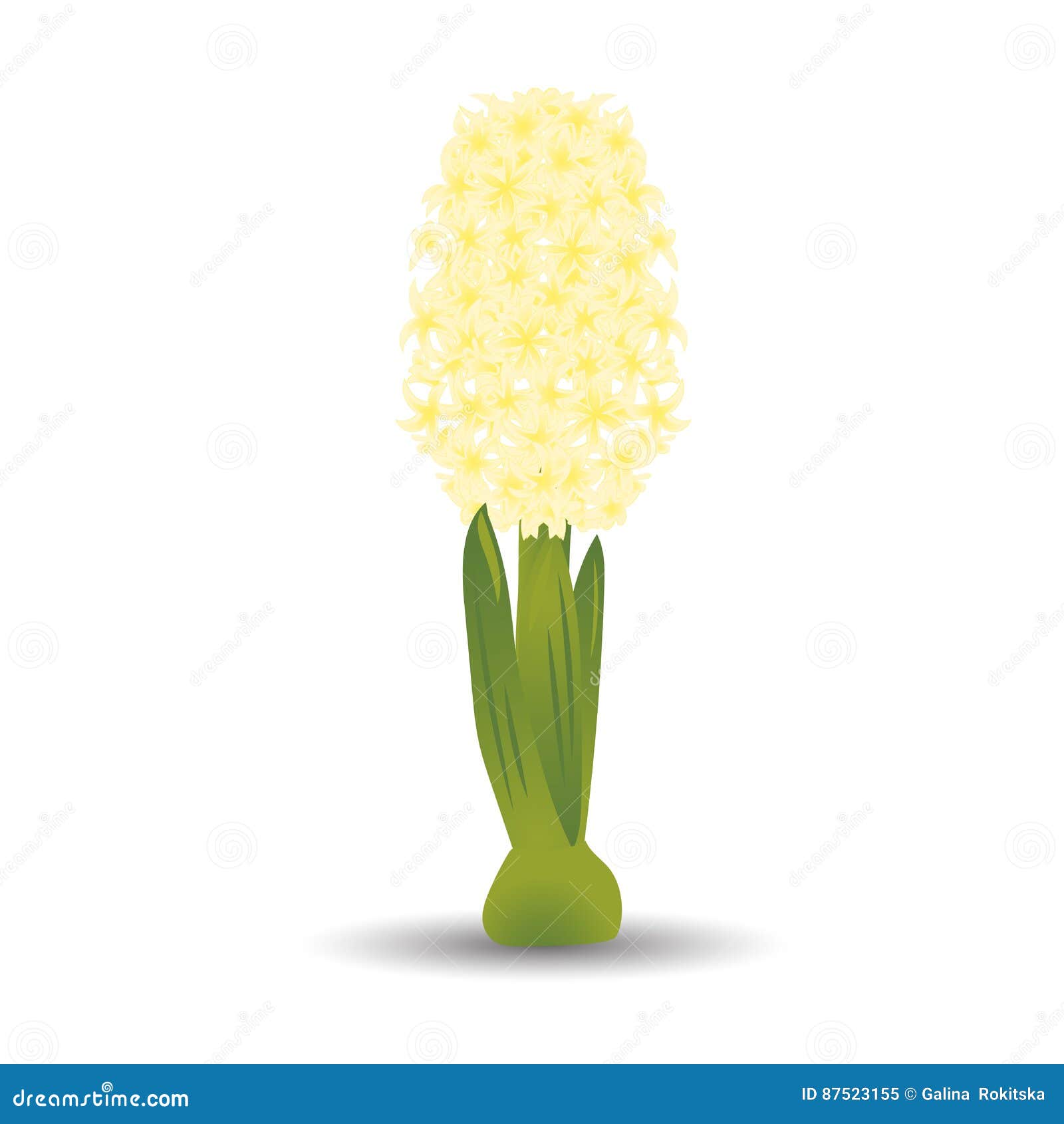 Jacinto Amarillo Hermoso Con El Efecto De Un Dibujo De La Acuarela Flor En El Fondo Blanco Ilustración Del Vector Stock de ilustración - Ilustración de jacinto, tarjeta: 87523155 Jacinto Amarillo Hermoso Con El Efecto De Un Dibujo De La Acuarela Flor En El Fondo Blanco Ilustración Del Vector Stock de ilustración - Ilustración de jacinto, tarjeta: 87523155