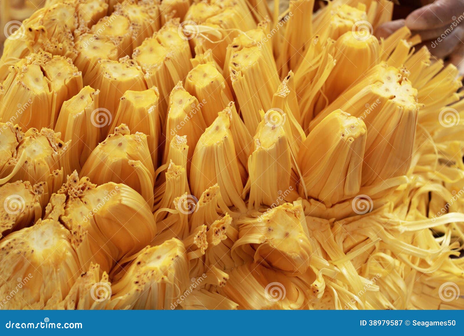 Jack fruit on the market stock image. Image of beautiful 38979587