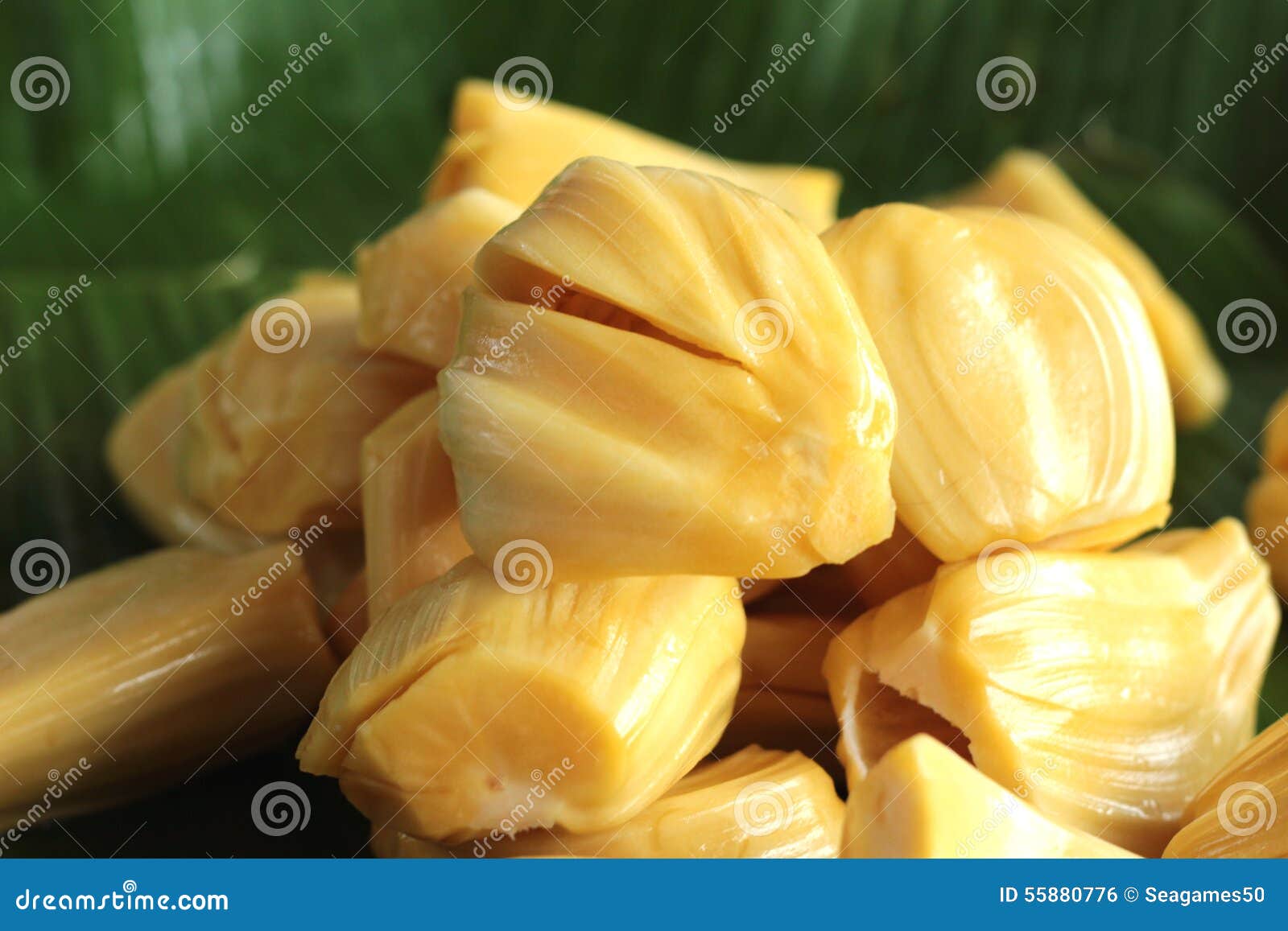 Jack fruit on the market stock photo. Image of green 55880776