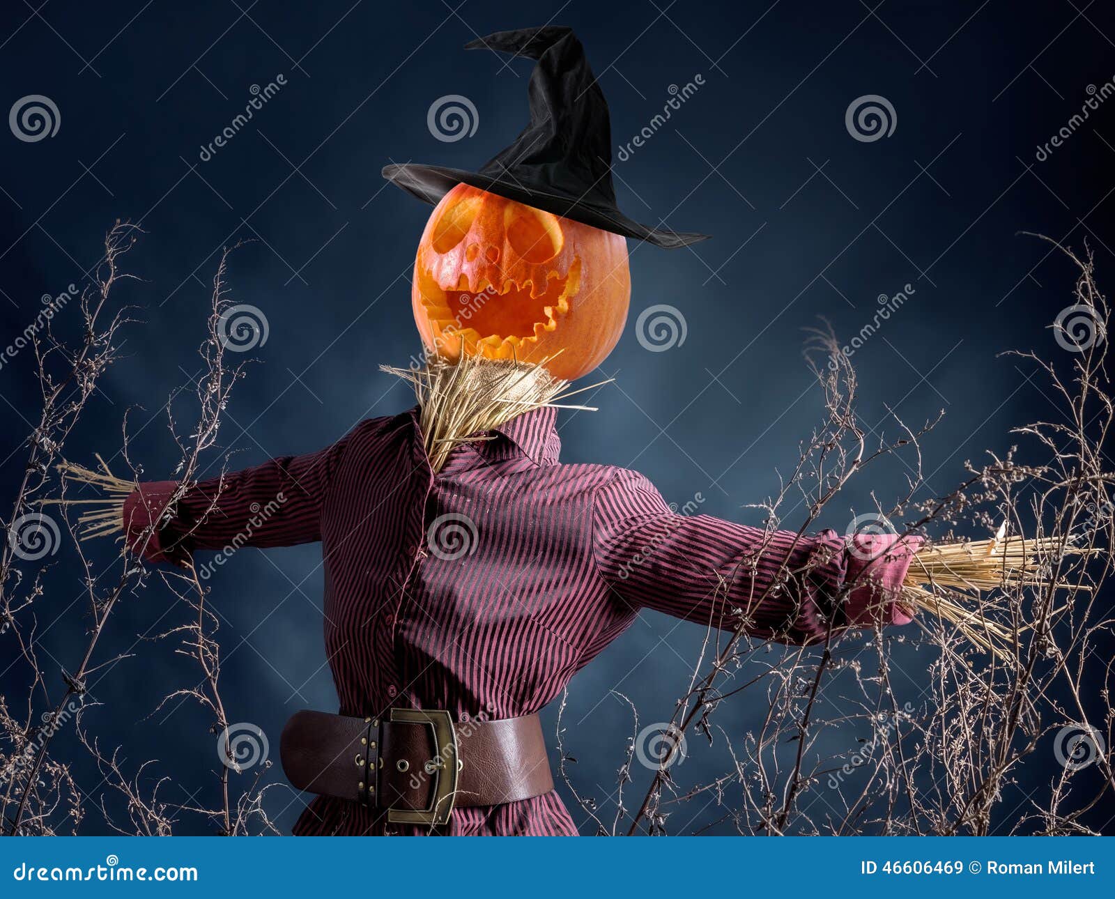 Jackolantern Pumpkin Scarecrow Stock Image Image of concept, season