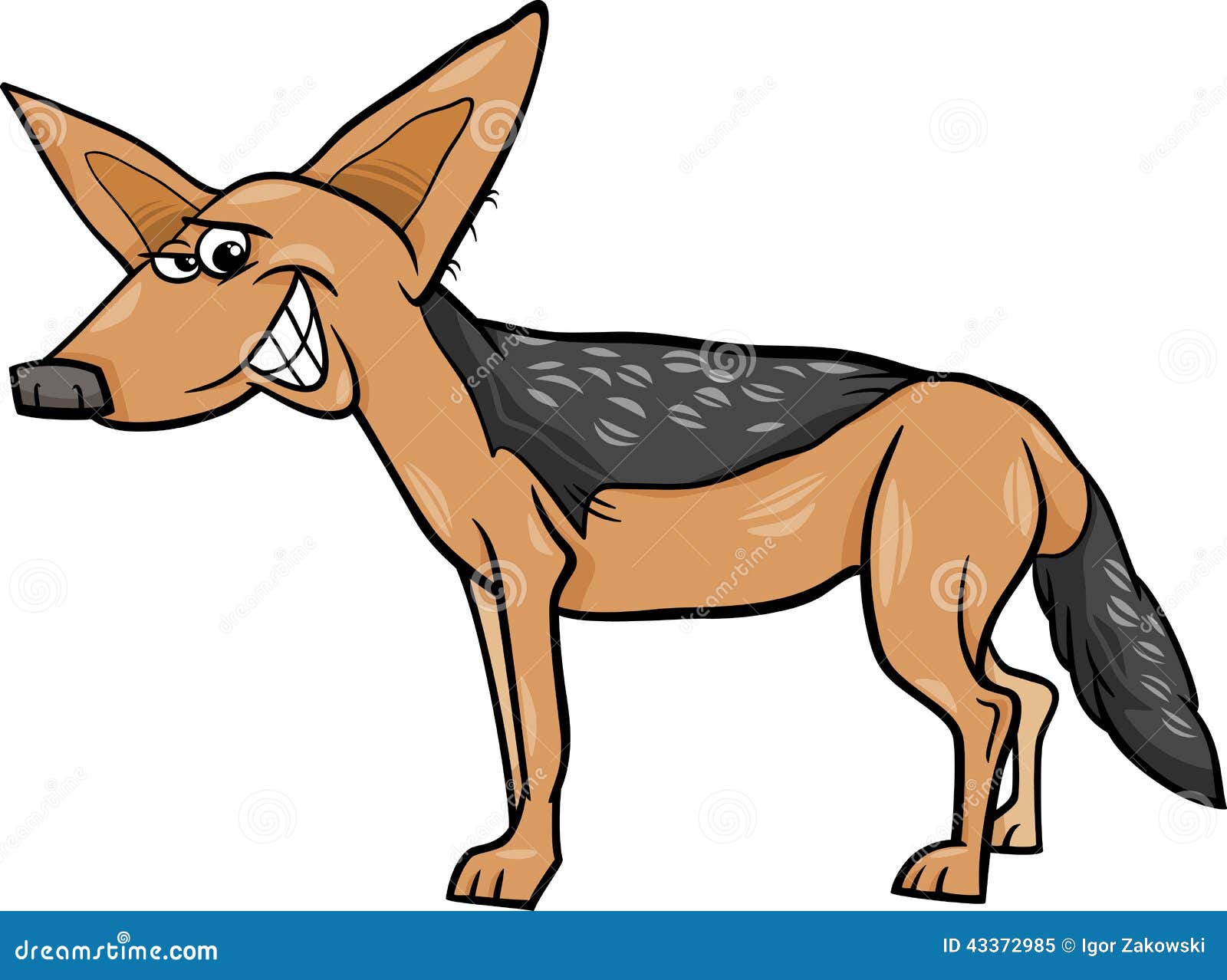jackal animal cartoon 