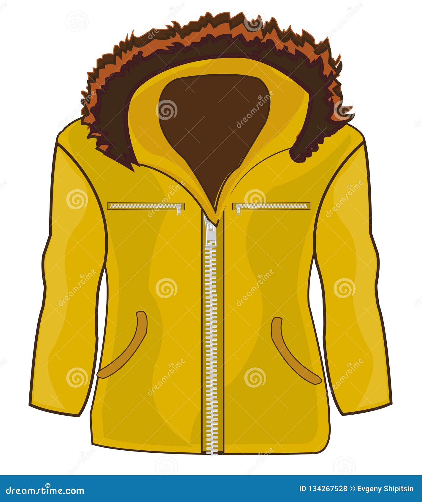 Jacket Male on White Background is Insulated Stock Vector ...