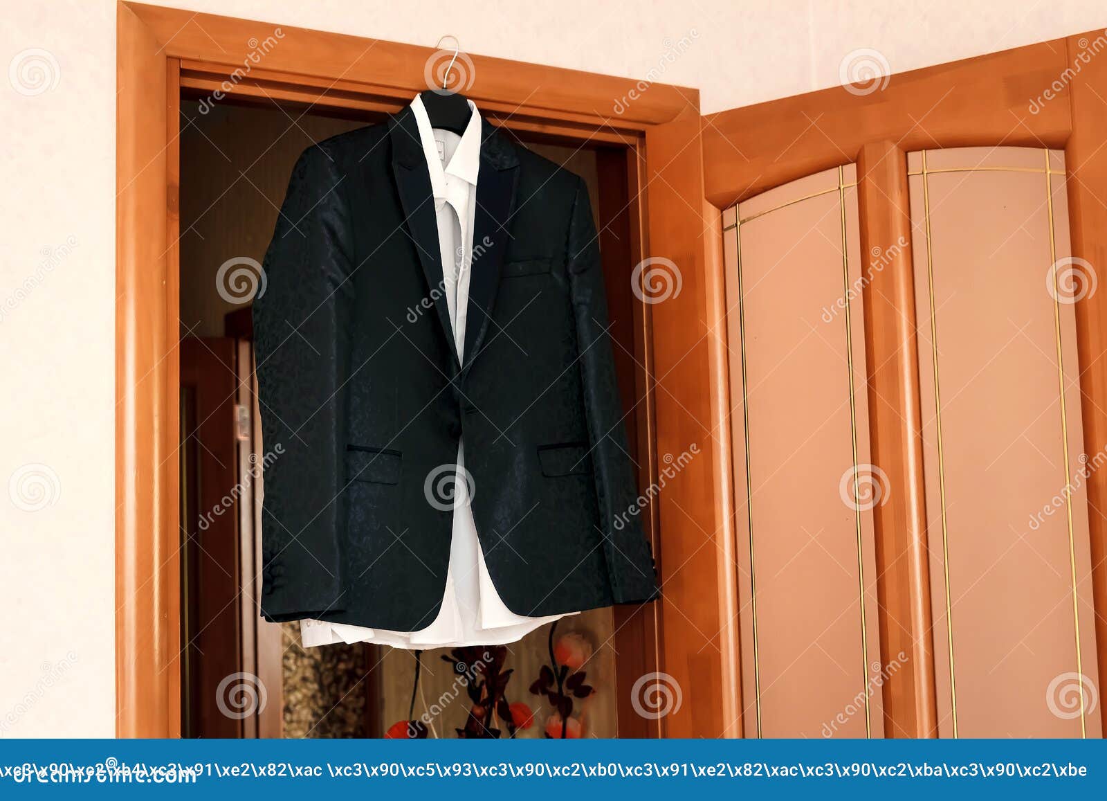 Jacket, Tie and Shirt Hanging Stock Photo - Image of business ...